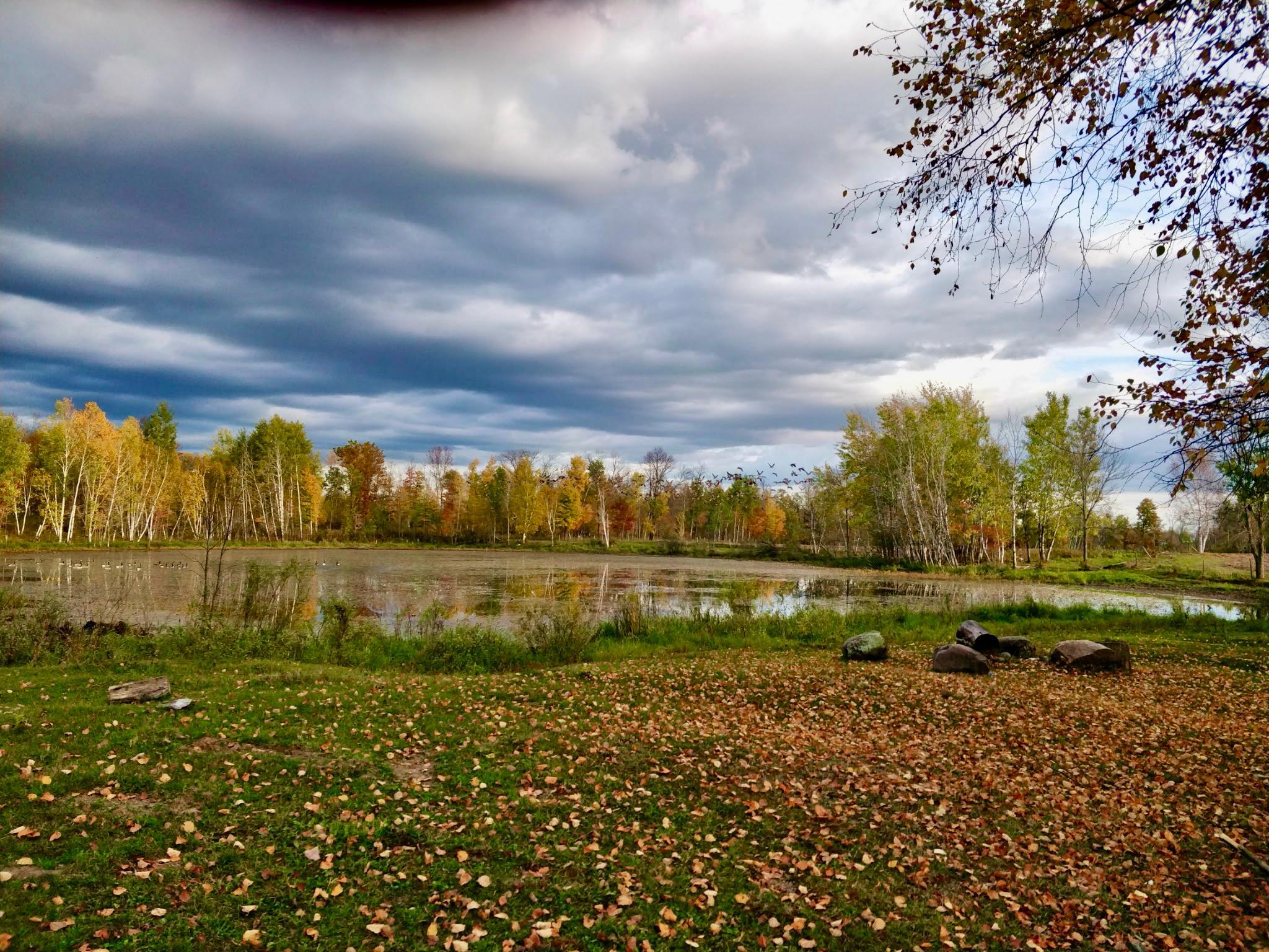 View of Land at NA Dove Rd, Hinckley MN 55037, Hinckley (16 of 43) - Mike Wilen | Minnesota Team Real Estate