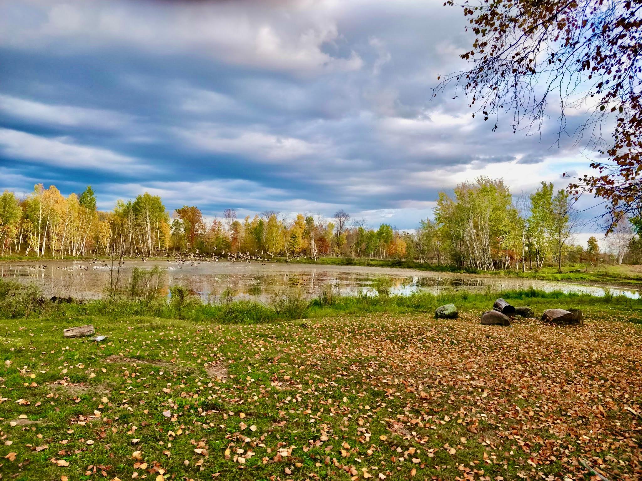 View of Land at NA Dove Rd, Hinckley MN 55037, Hinckley (15 of 43) - Mike Wilen | Minnesota Team Real Estate