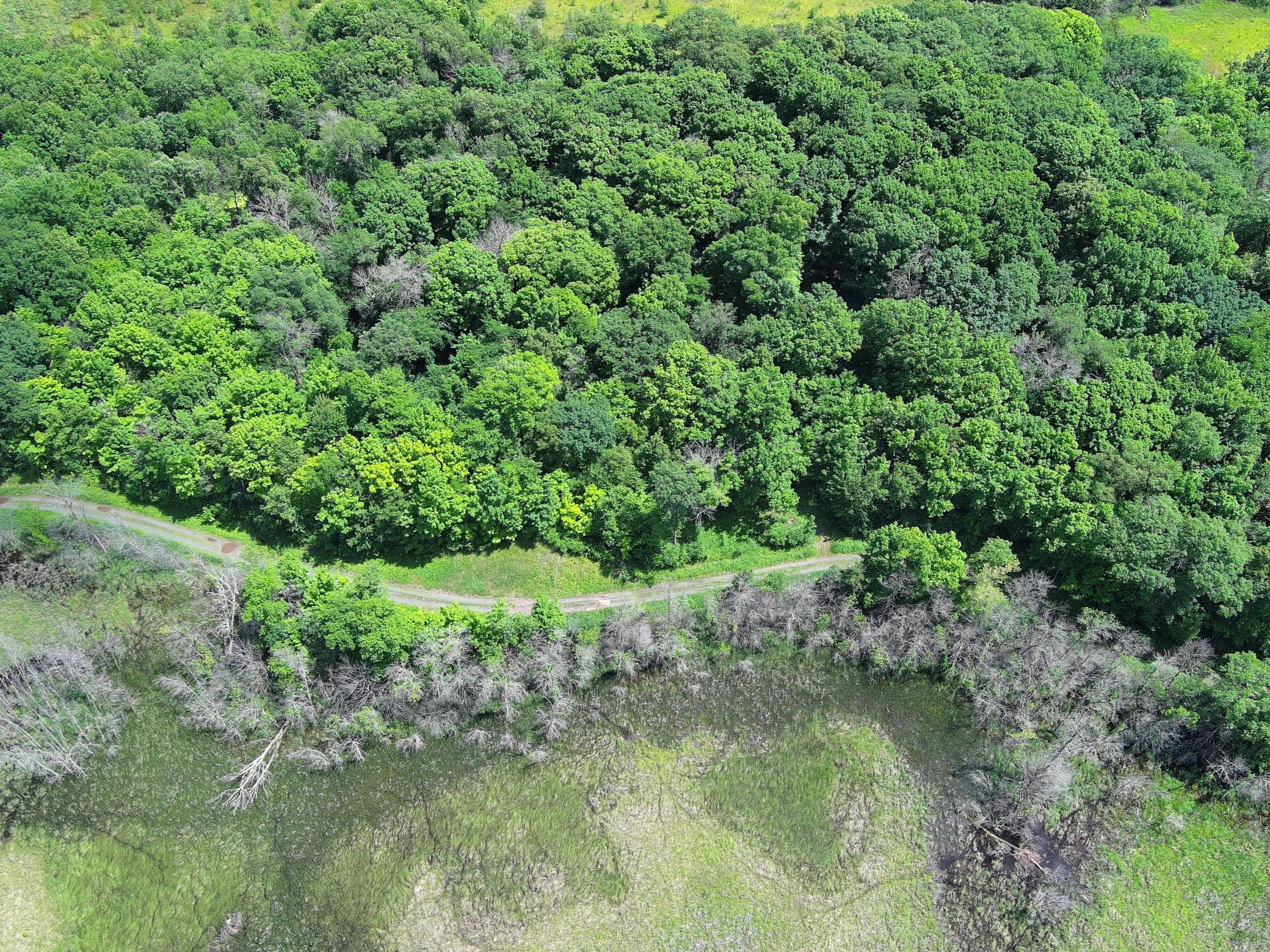 View of Land at TBD Lindo Trail, Lindstrom MN 55045, Lindstrom (25 of 46) - Mike Wilen | Minnesota Team Real Estate