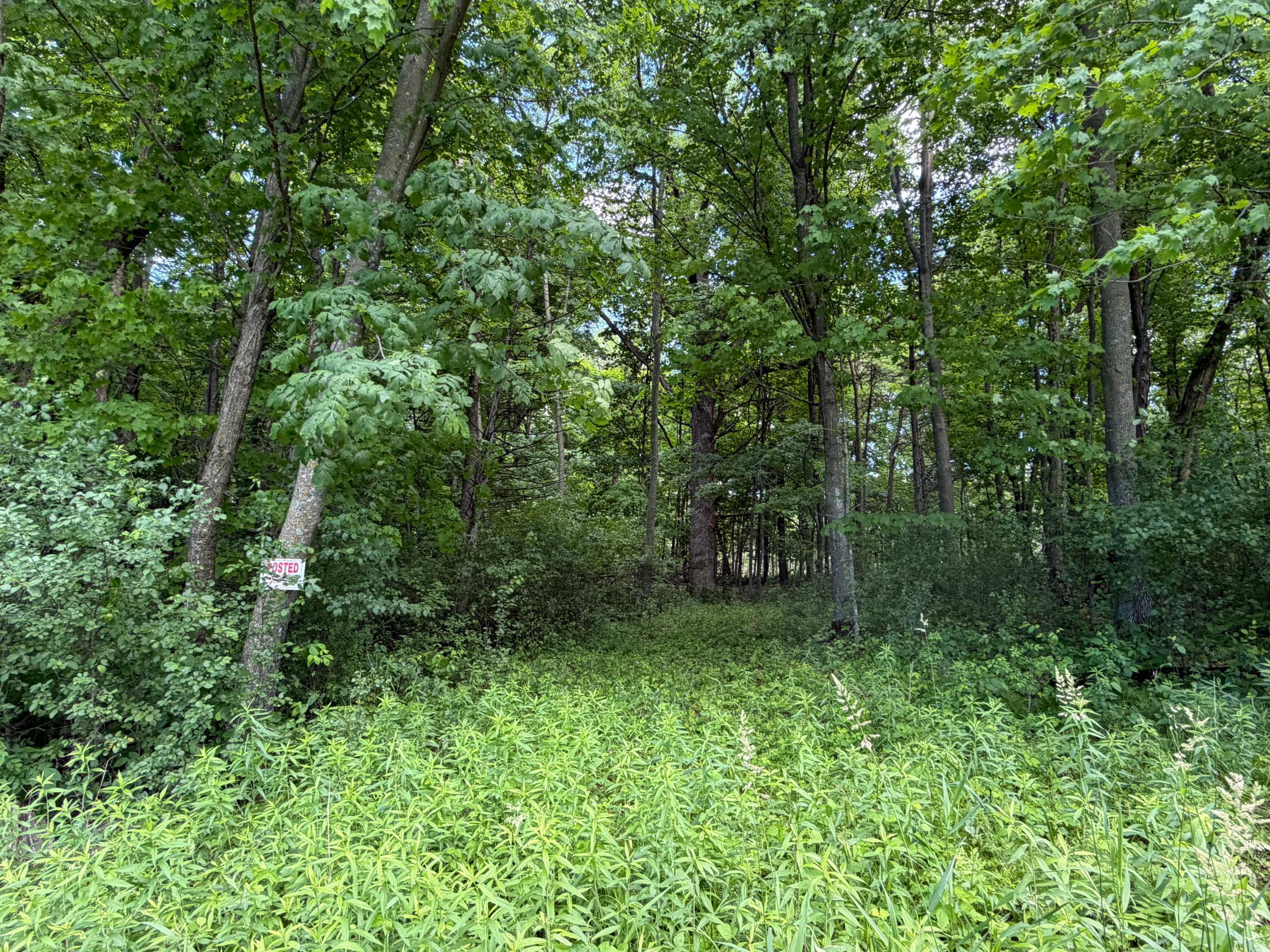 View of Land at TBD Lindo Trail, Lindstrom MN 55045, Lindstrom (44 of 46) - Mike Wilen | Minnesota Team Real Estate