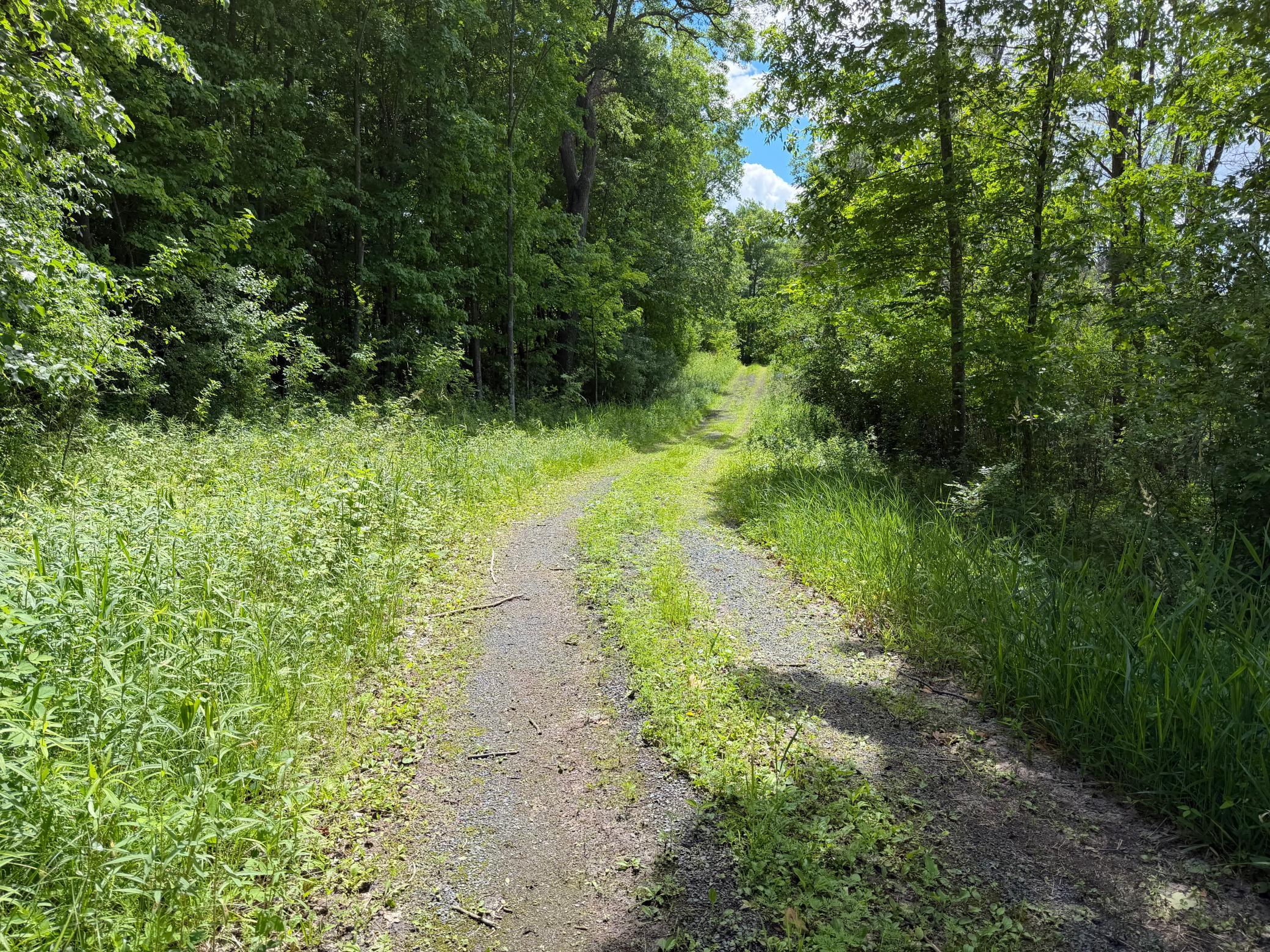 View of Land at TBD Lindo Trail, Lindstrom MN 55045, Lindstrom (42 of 46) - Mike Wilen | Minnesota Team Real Estate