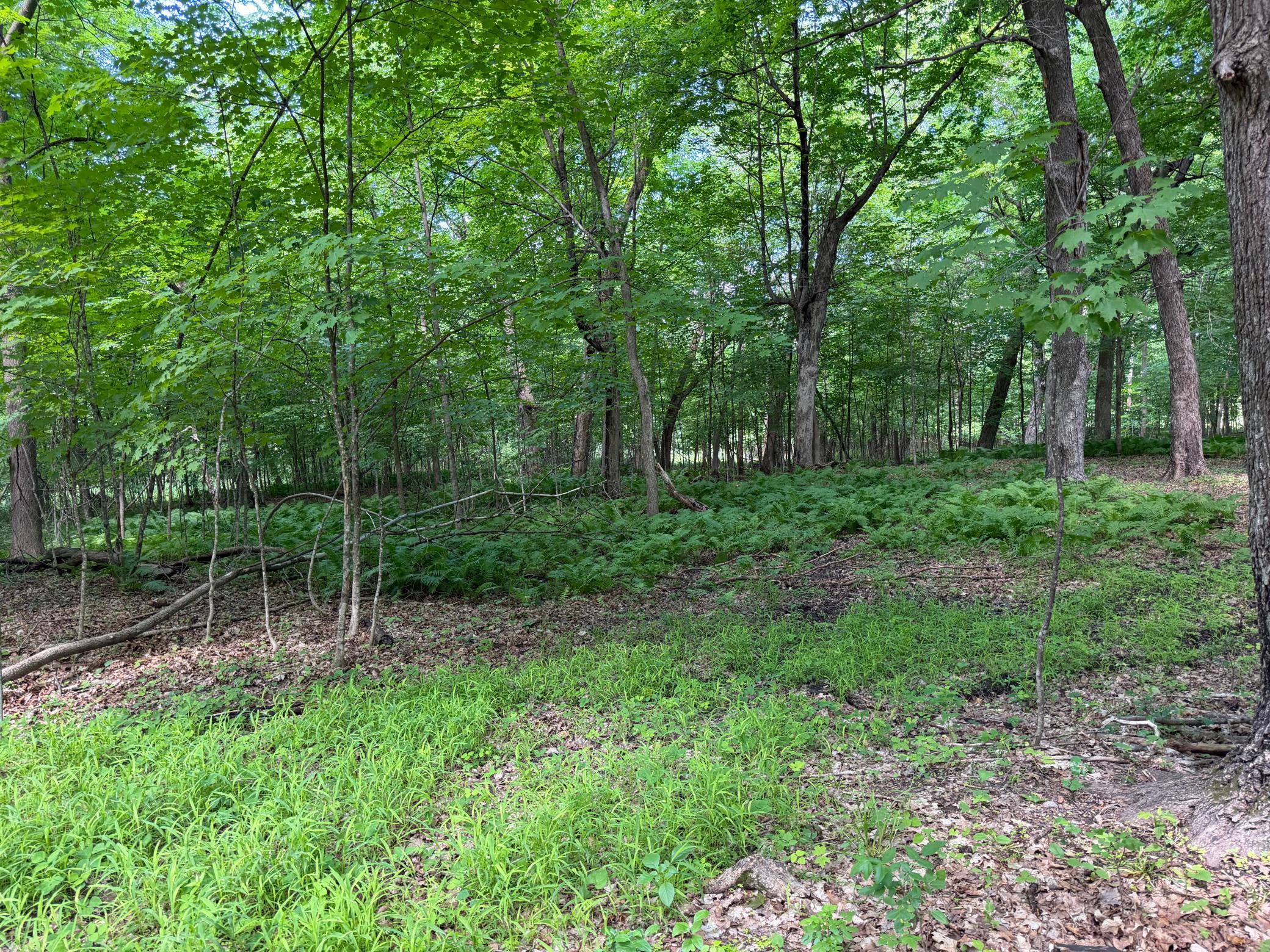 View of Land at TBD Lindo Trail, Lindstrom MN 55045, Lindstrom (40 of 46) - Mike Wilen | Minnesota Team Real Estate