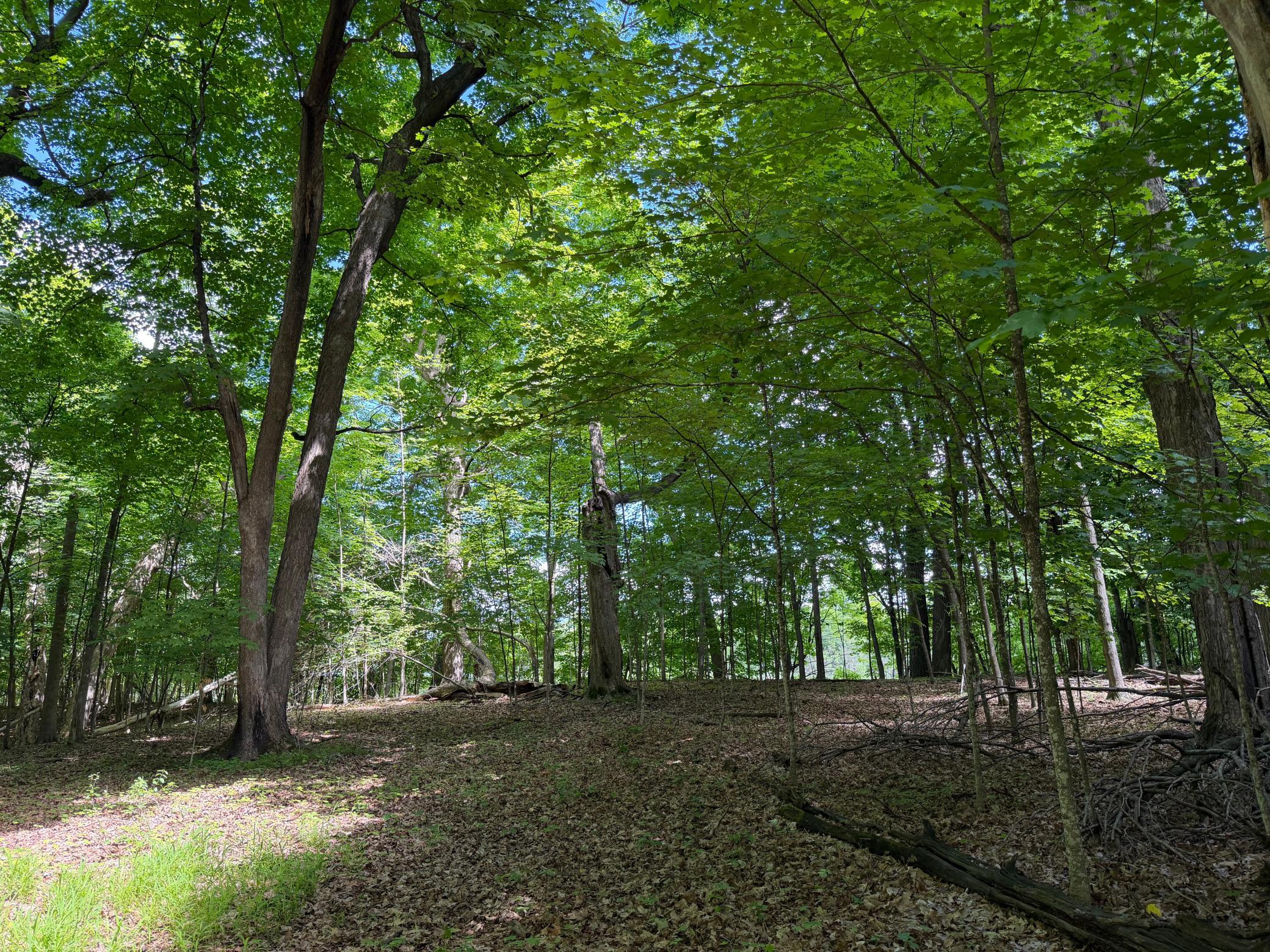 View of Land at TBD Lindo Trail, Lindstrom MN 55045, Lindstrom (39 of 46) - Mike Wilen | Minnesota Team Real Estate