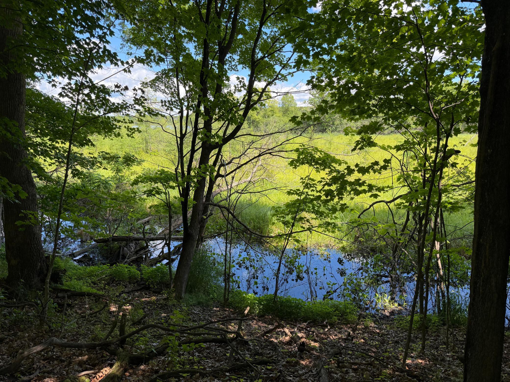 View of Land at TBD Lindo Trail, Lindstrom MN 55045, Lindstrom (38 of 46) - Mike Wilen | Minnesota Team Real Estate