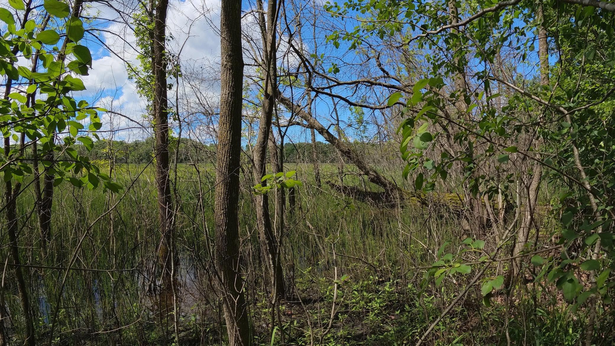View of Land at TBD Lindo Trail, Lindstrom MN 55045, Lindstrom (35 of 46) - Mike Wilen | Minnesota Team Real Estate