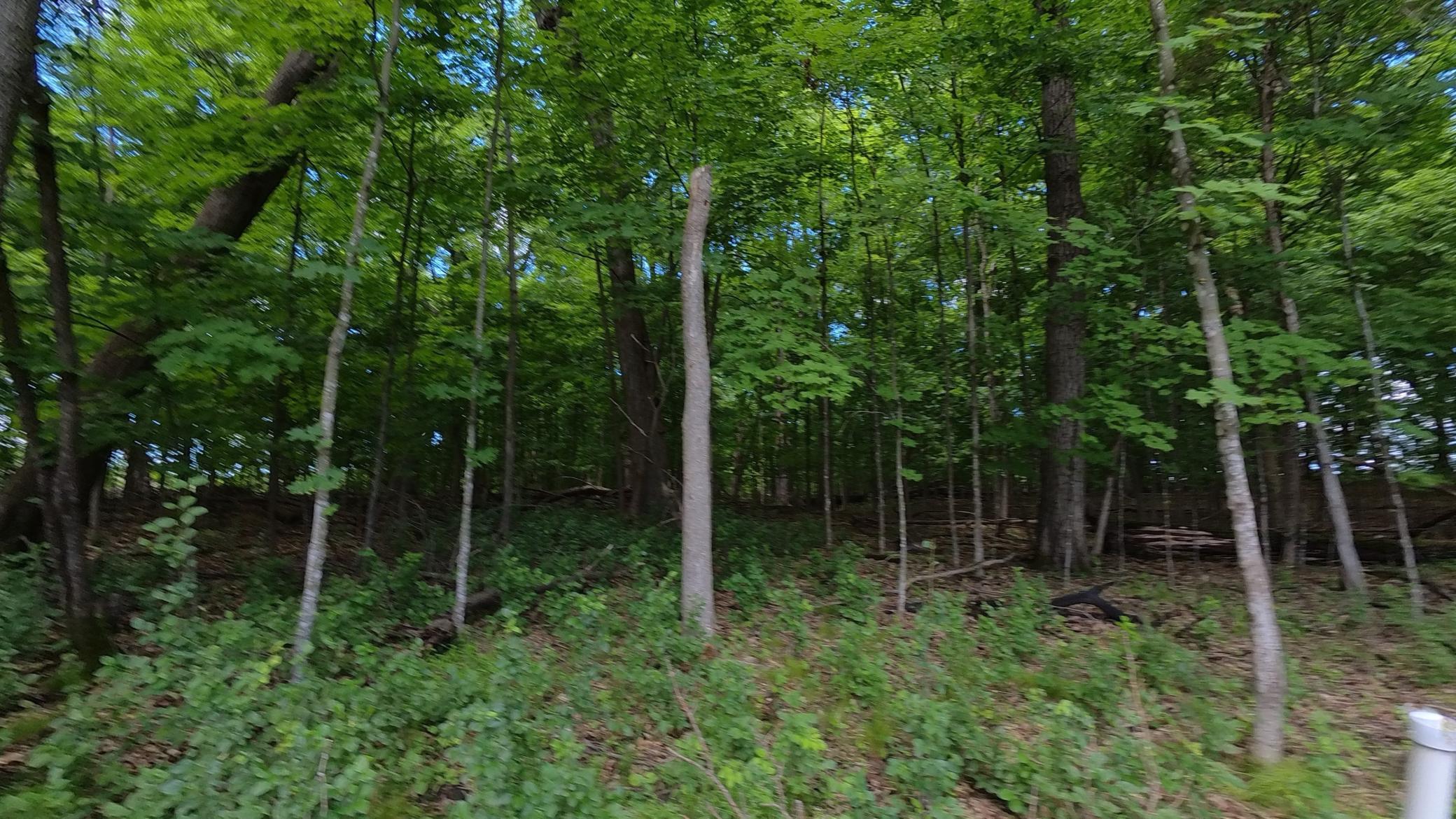 View of Land at TBD Lindo Trail, Lindstrom MN 55045, Lindstrom (33 of 46) - Mike Wilen | Minnesota Team Real Estate