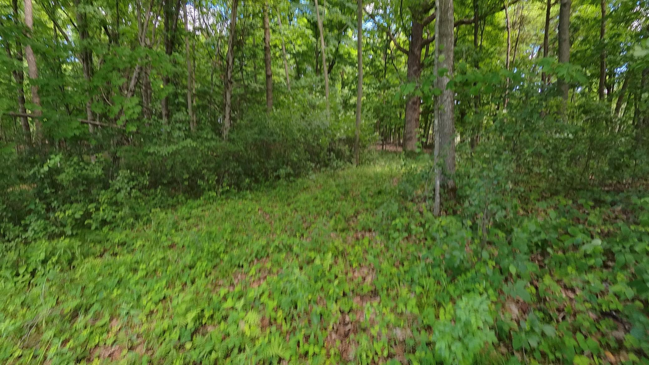 View of Land at TBD Lindo Trail, Lindstrom MN 55045, Lindstrom (28 of 46) - Mike Wilen | Minnesota Team Real Estate