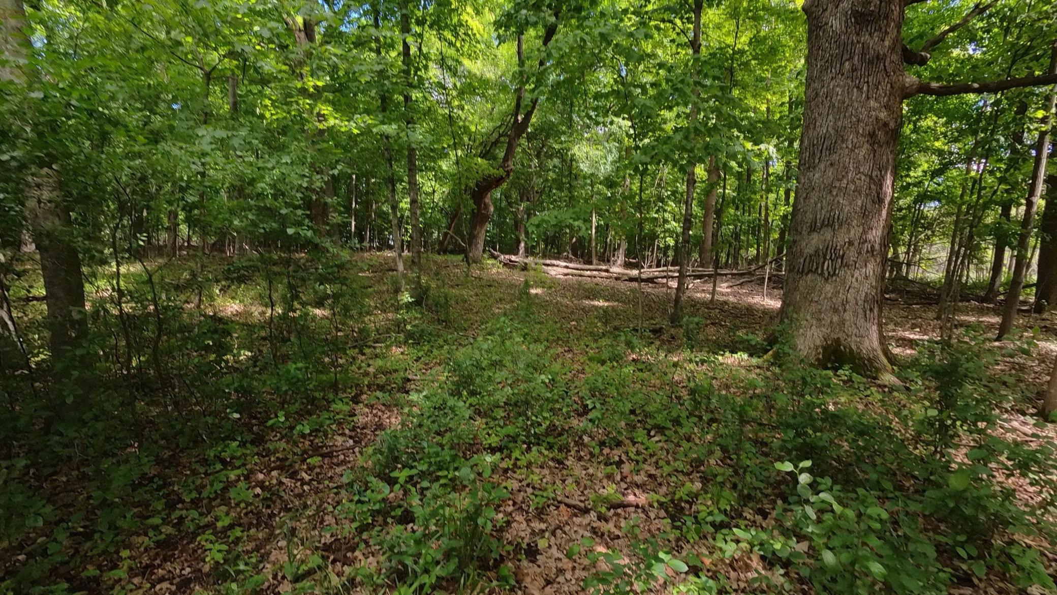 View of Land at TBD Lindo Trail, Lindstrom MN 55045, Lindstrom (26 of 46) - Mike Wilen | Minnesota Team Real Estate