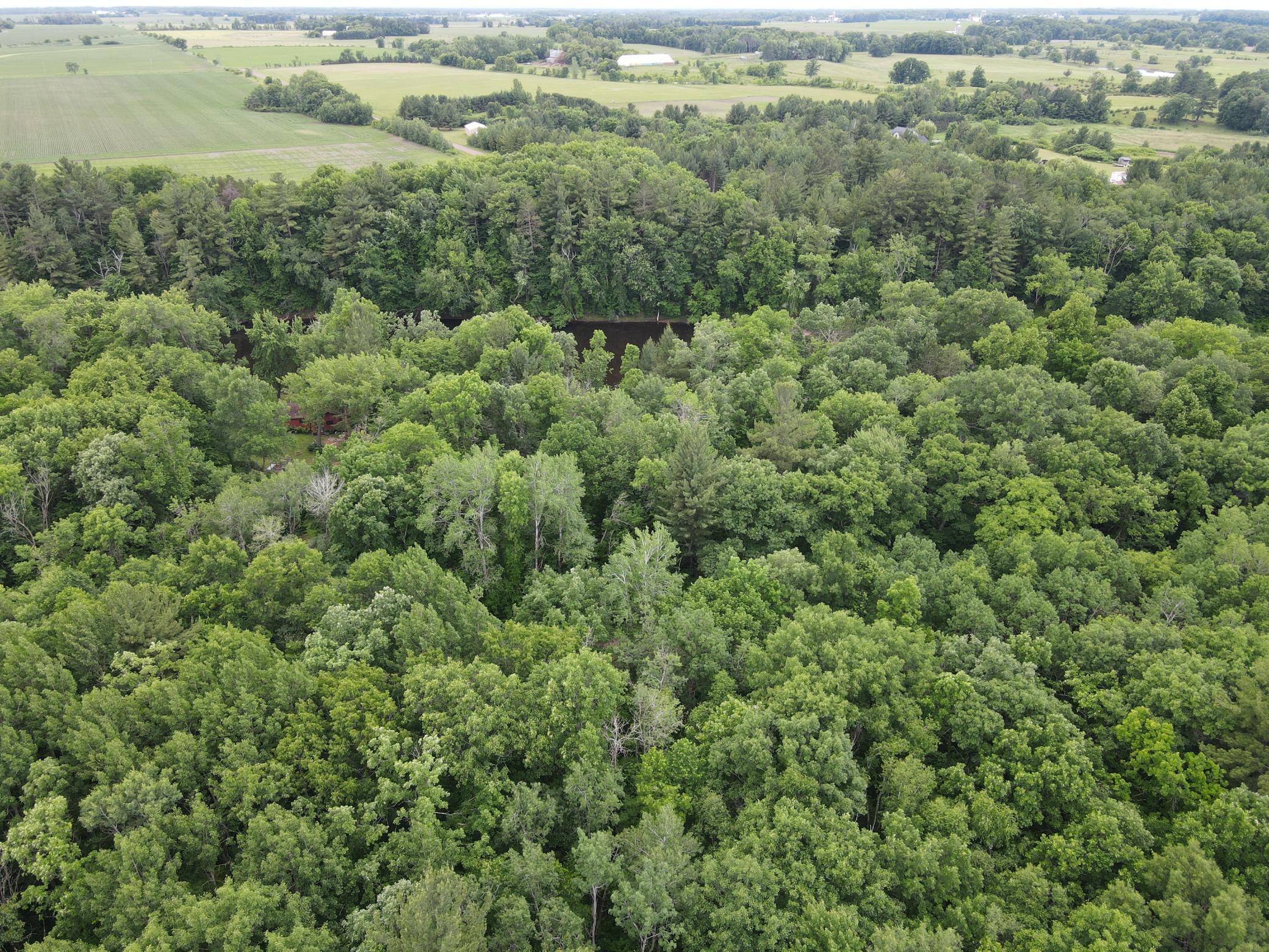 View of Land at LOT 5 Wilderness Retreat, Pine City MN 55063, Pine City (8 of 15) - Mike Wilen | Minnesota Team Real Estate