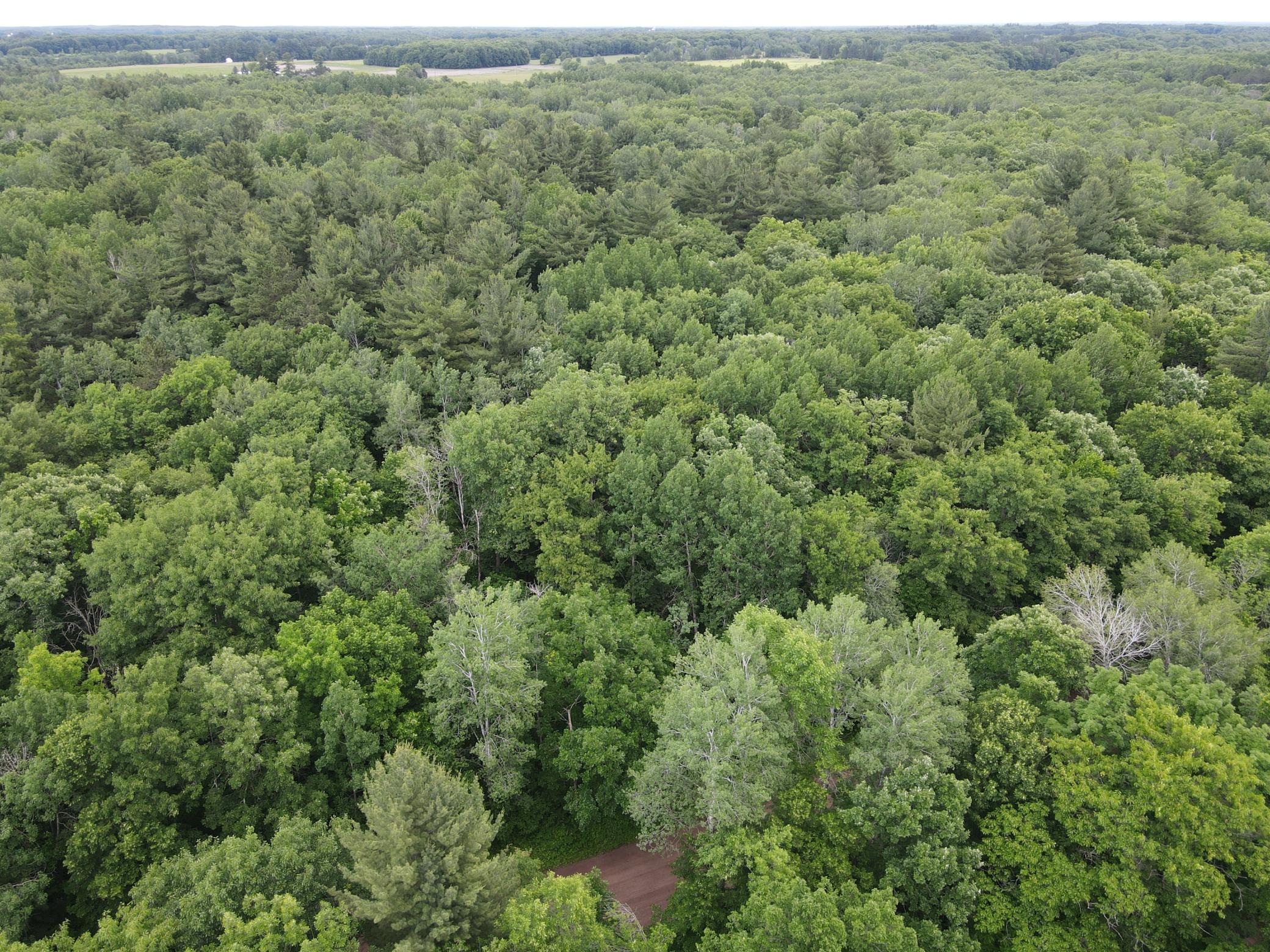 View of Land at LOT 5 Wilderness Retreat, Pine City MN 55063, Pine City (7 of 15) - Mike Wilen | Minnesota Team Real Estate