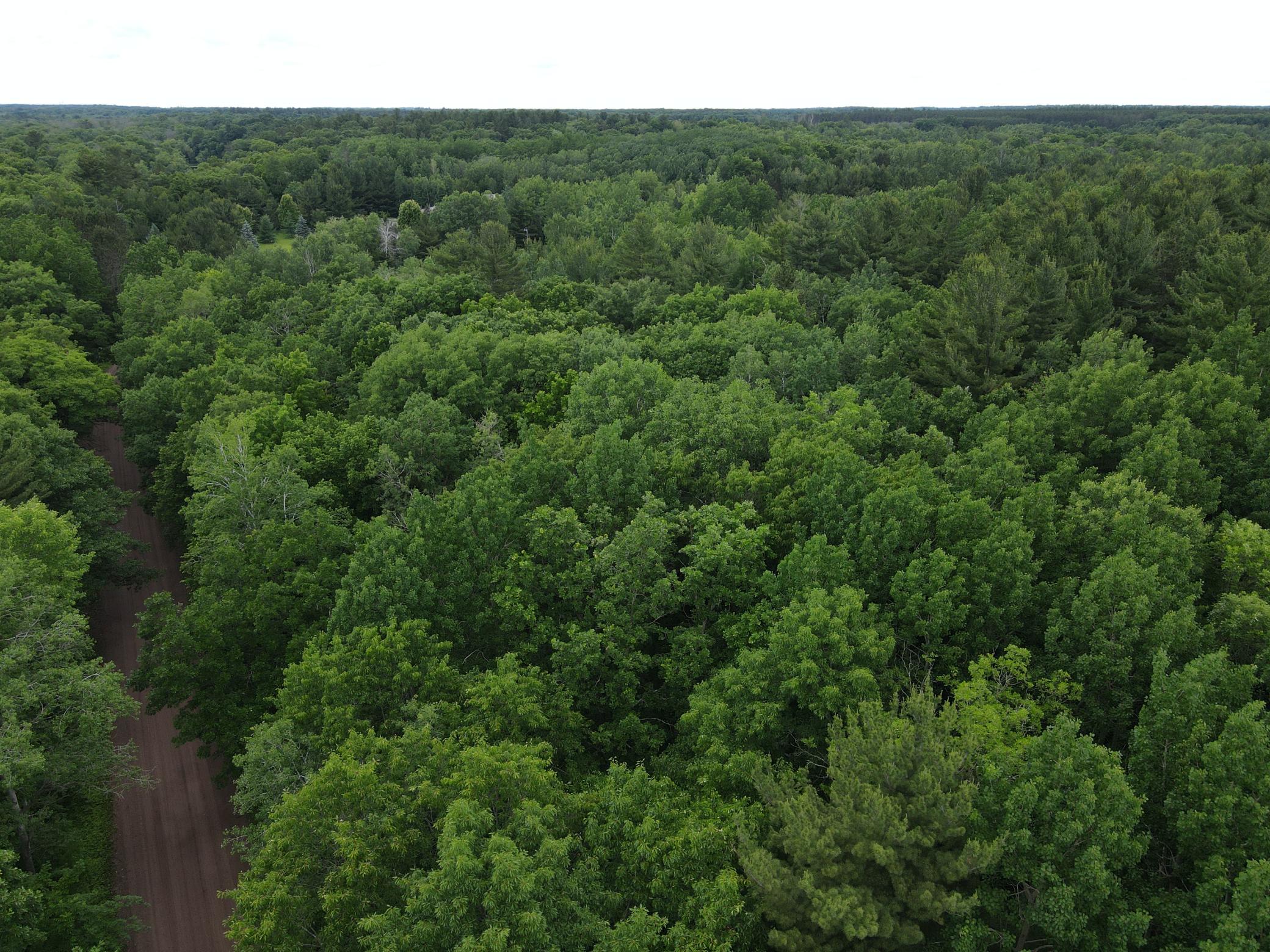View of Land at LOT 5 Wilderness Retreat, Pine City MN 55063, Pine City (4 of 15) - Mike Wilen | Minnesota Team Real Estate