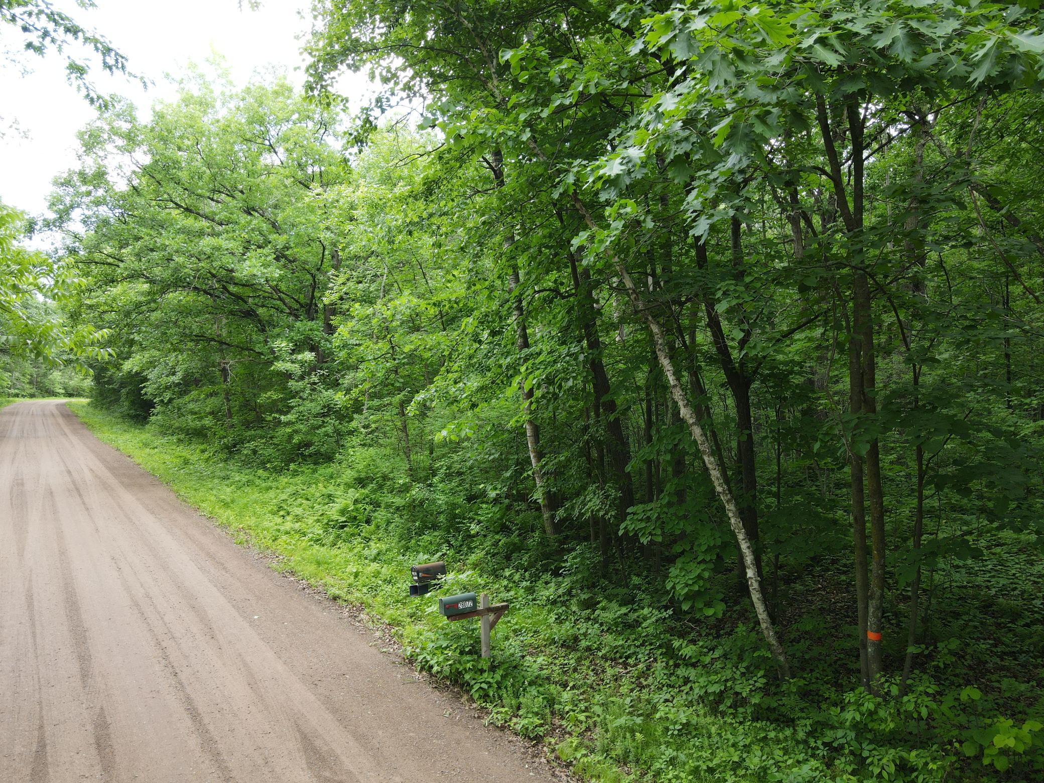 View of Land at LOT 5 Wilderness Retreat, Pine City MN 55063, Pine City (5 of 15) - Mike Wilen | Minnesota Team Real Estate