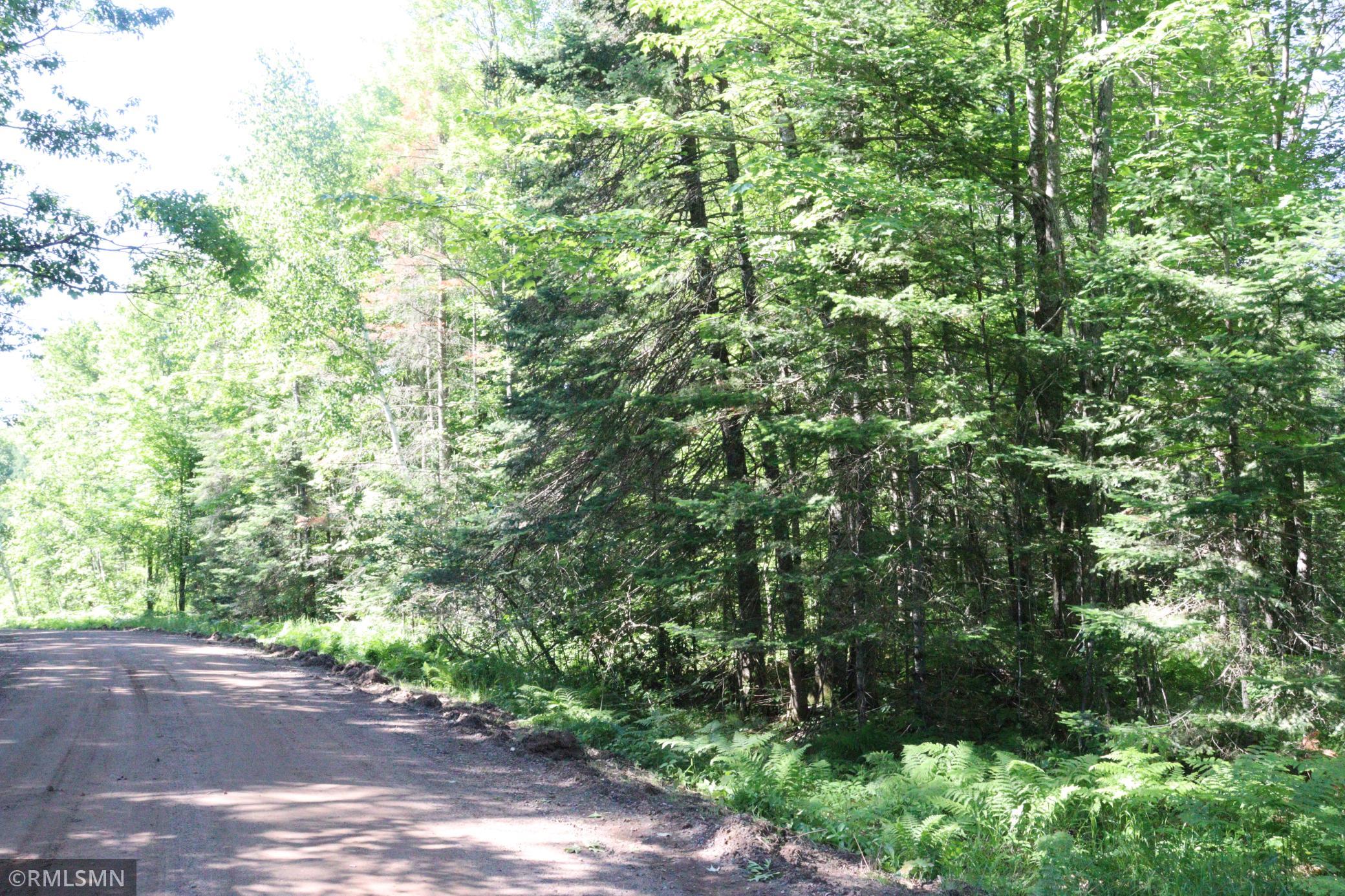 View of Land at TBD Sawmill Road, Kerrick MN 55756, Kerrick - Mike Wilen | Minnesota Team Real Estate