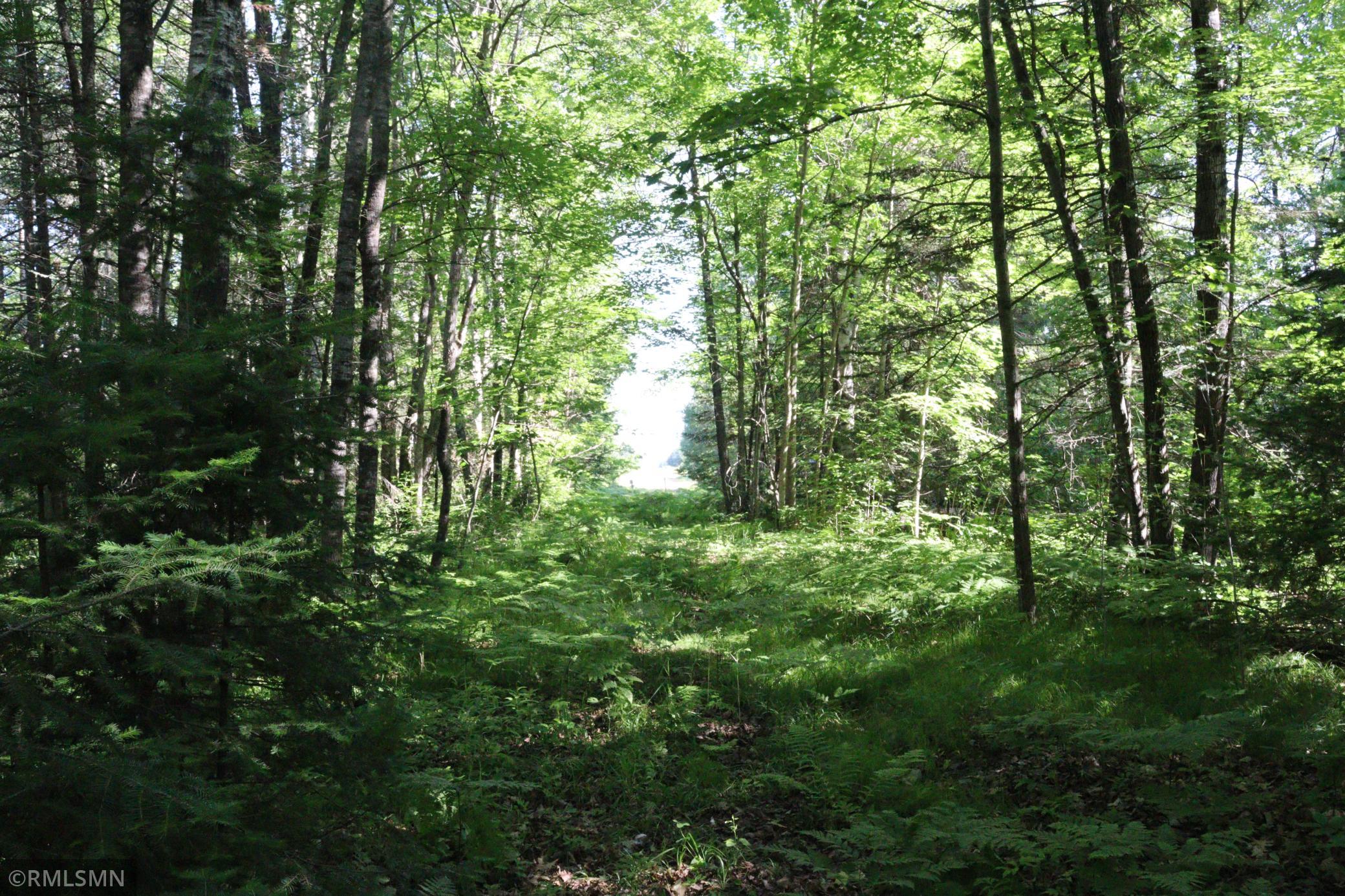 View of Land at TBD Sawmill Road, Kerrick MN 55756, Kerrick (6 of 6) - Mike Wilen | Minnesota Team Real Estate