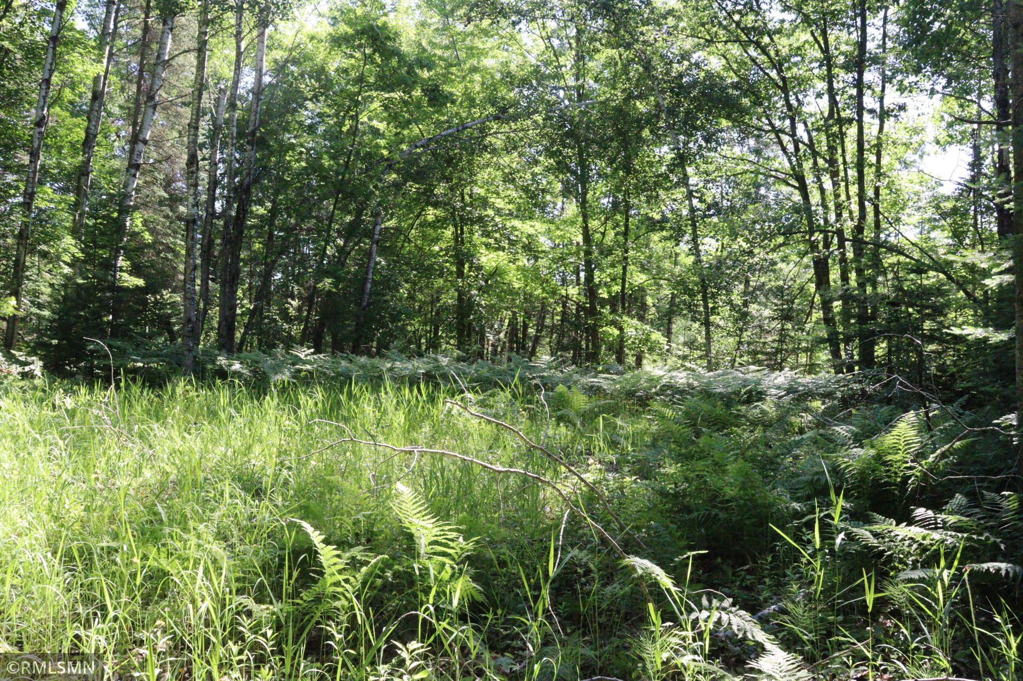 View of Land at TBD Sawmill Road, Kerrick MN 55756, Kerrick (5 of 6) - Mike Wilen | Minnesota Team Real Estate