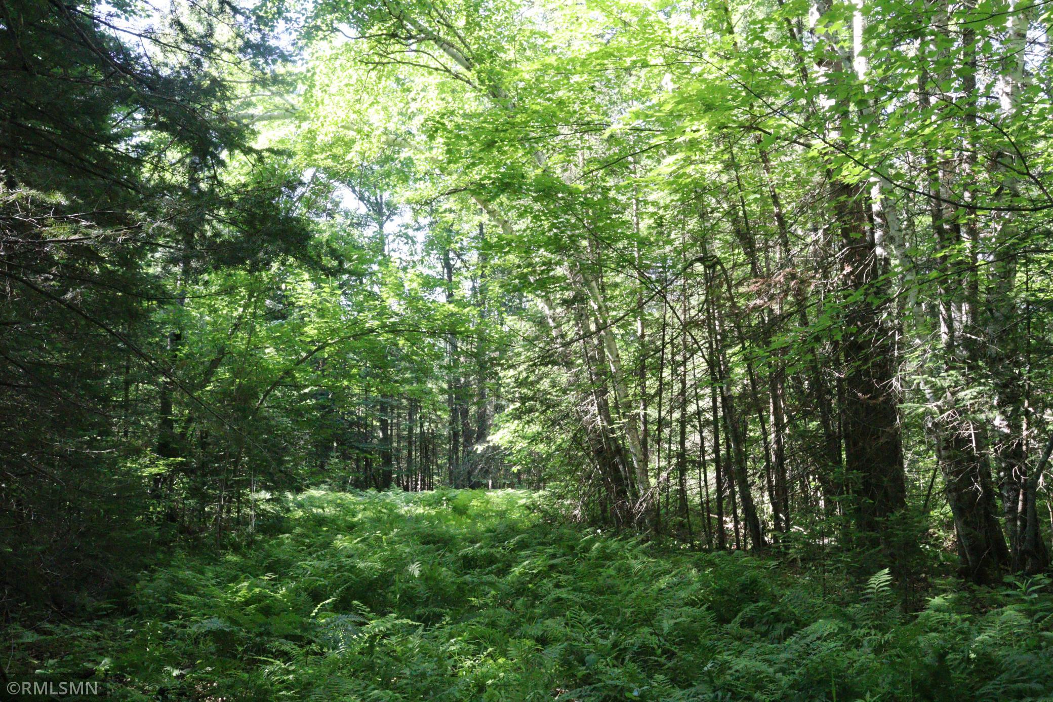 View of Land at TBD Sawmill Road, Kerrick MN 55756, Kerrick (4 of 6) - Mike Wilen | Minnesota Team Real Estate