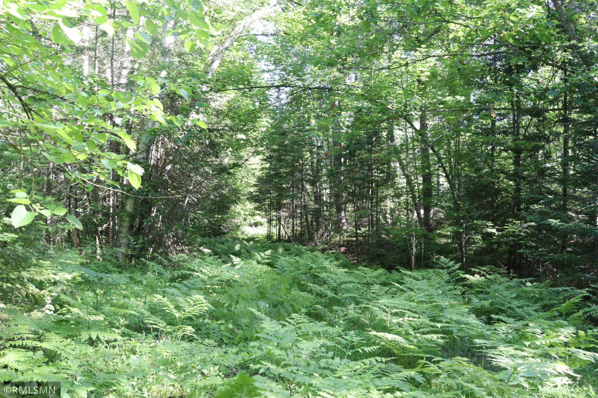 View of Land at TBD Sawmill Road, Kerrick MN 55756, Kerrick (3 of 6) - Mike Wilen | Minnesota Team Real Estate
