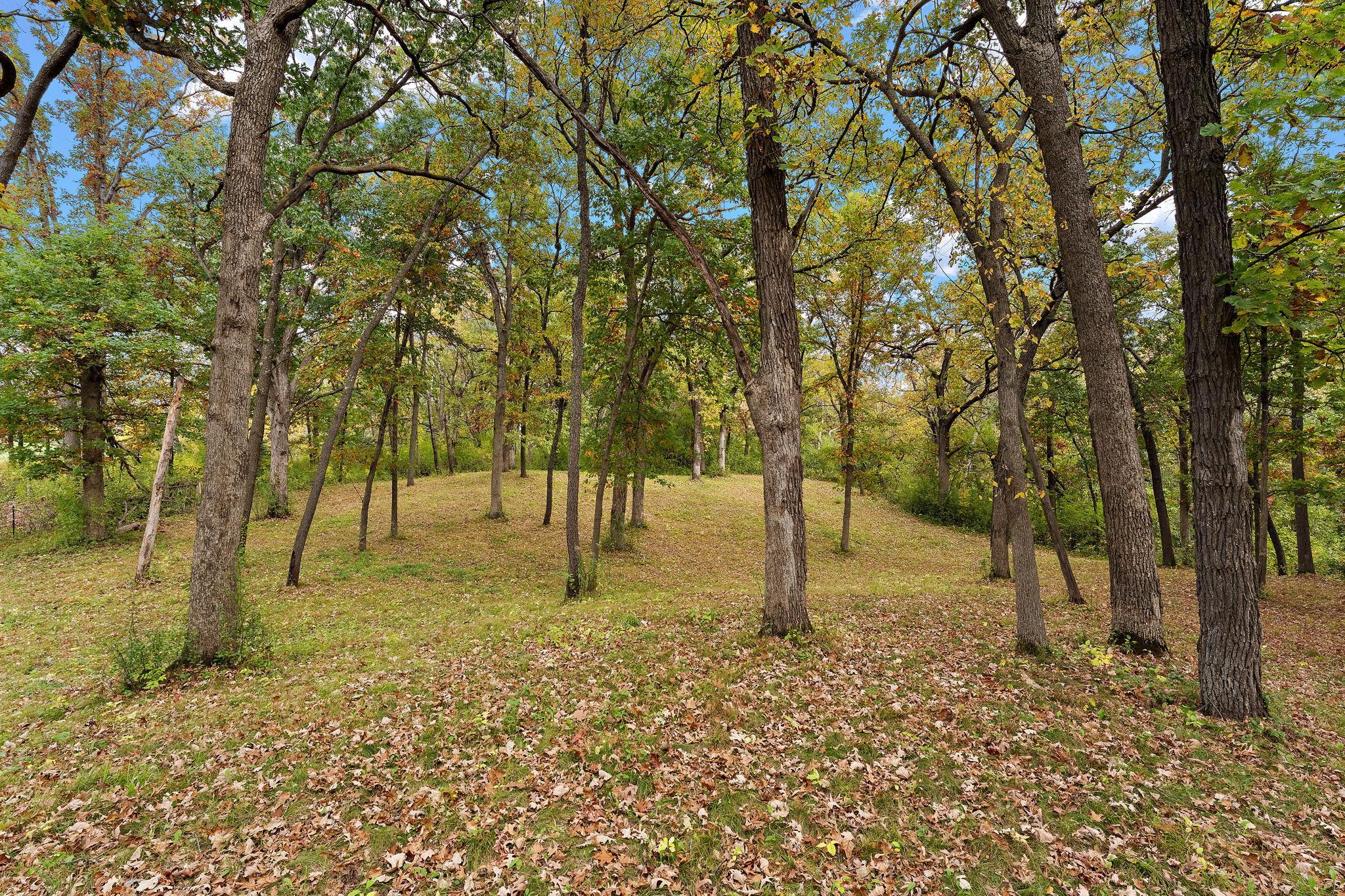 View of Residential at 13660 Greenwood Trail Court, Stillwater MN 55082, Stillwater (78 of 105) - Mike Wilen | Minnesota Team Real Estate