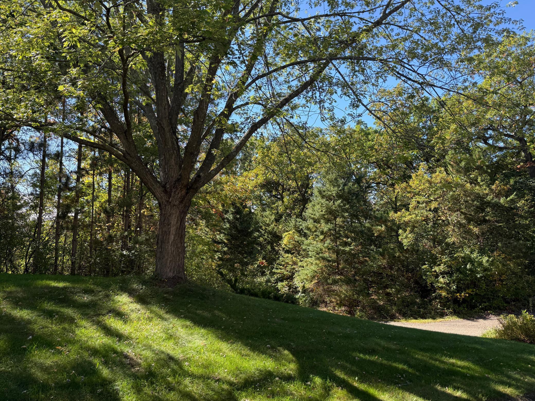 View of Residential at 13660 Greenwood Trail Court, Stillwater MN 55082, Stillwater (101 of 105) - Mike Wilen | Minnesota Team Real Estate