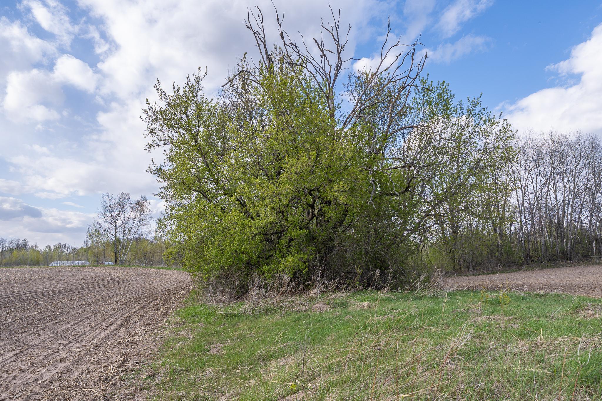 View of Land at TBD-58AC 465th Street, Harris MN 55032, Harris (27 of 63) - Mike Wilen | Minnesota Team Real Estate