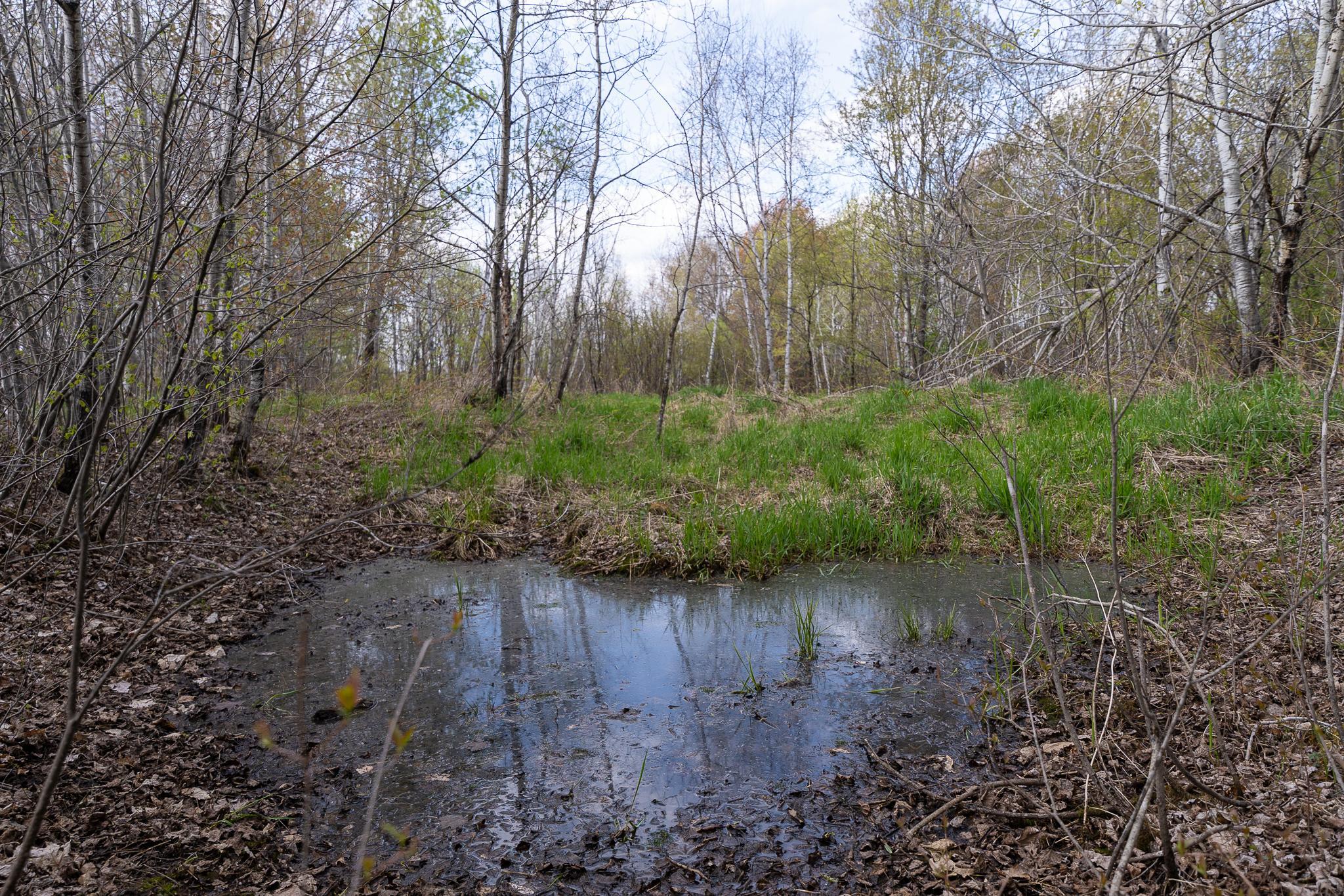View of Land at TBD-58AC 465th Street, Harris MN 55032, Harris (58 of 63) - Mike Wilen | Minnesota Team Real Estate