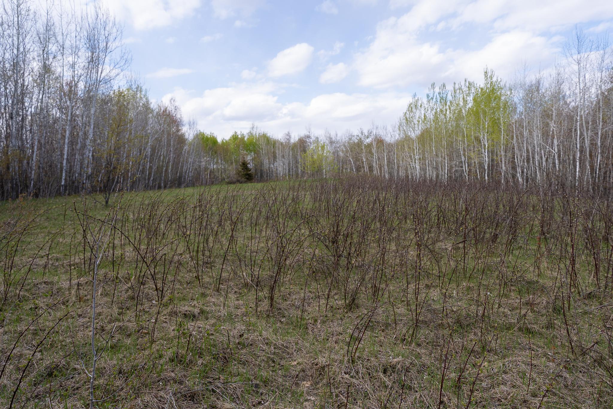 View of Land at TBD-58AC 465th Street, Harris MN 55032, Harris (11 of 63) - Mike Wilen | Minnesota Team Real Estate