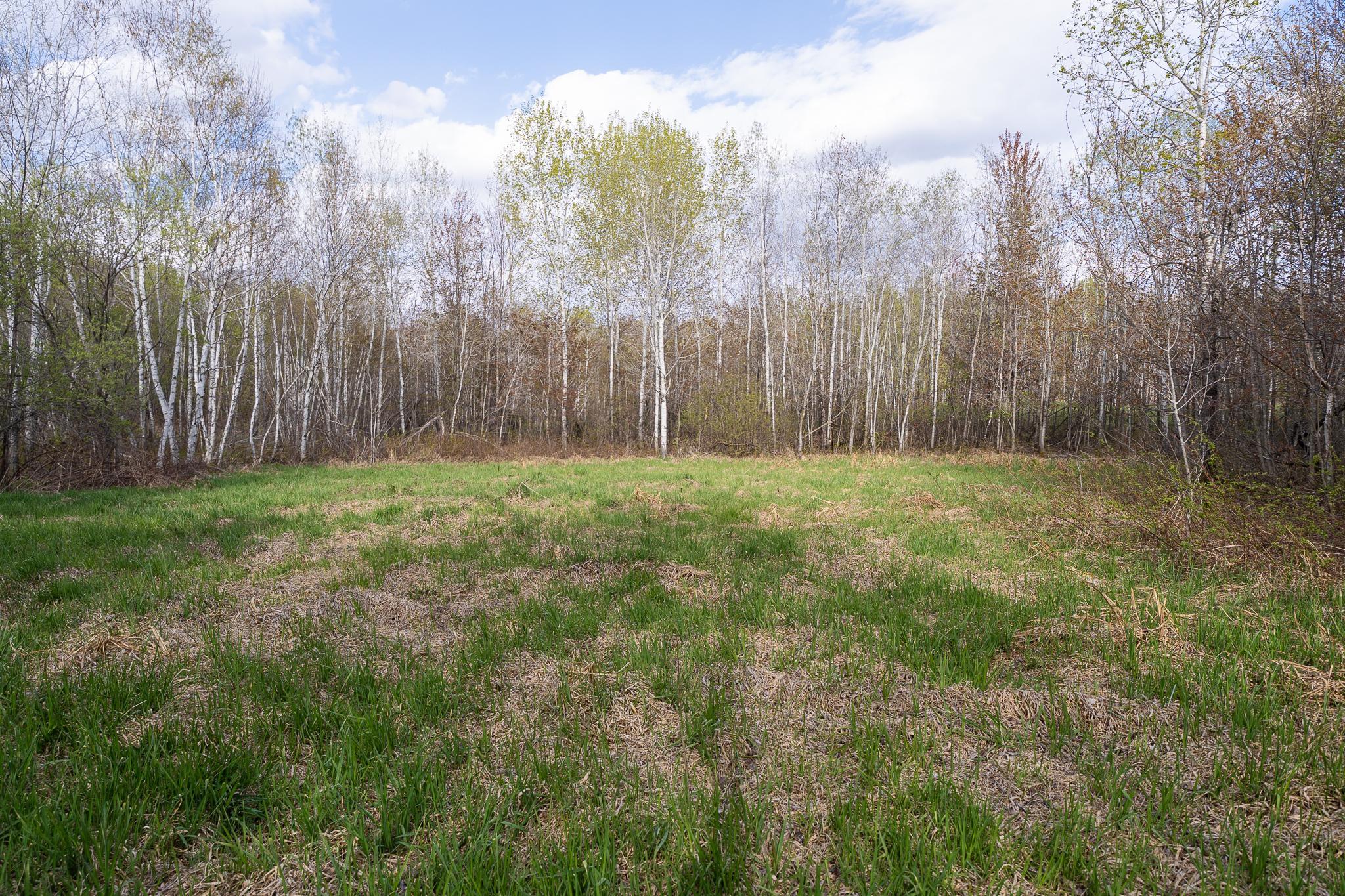 View of Land at TBD-58AC 465th Street, Harris MN 55032, Harris (4 of 63) - Mike Wilen | Minnesota Team Real Estate