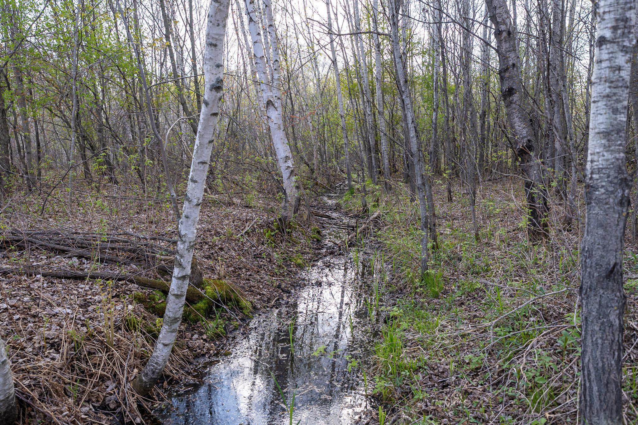 View of Land at TBD-58AC 465th Street, Harris MN 55032, Harris (39 of 63) - Mike Wilen | Minnesota Team Real Estate