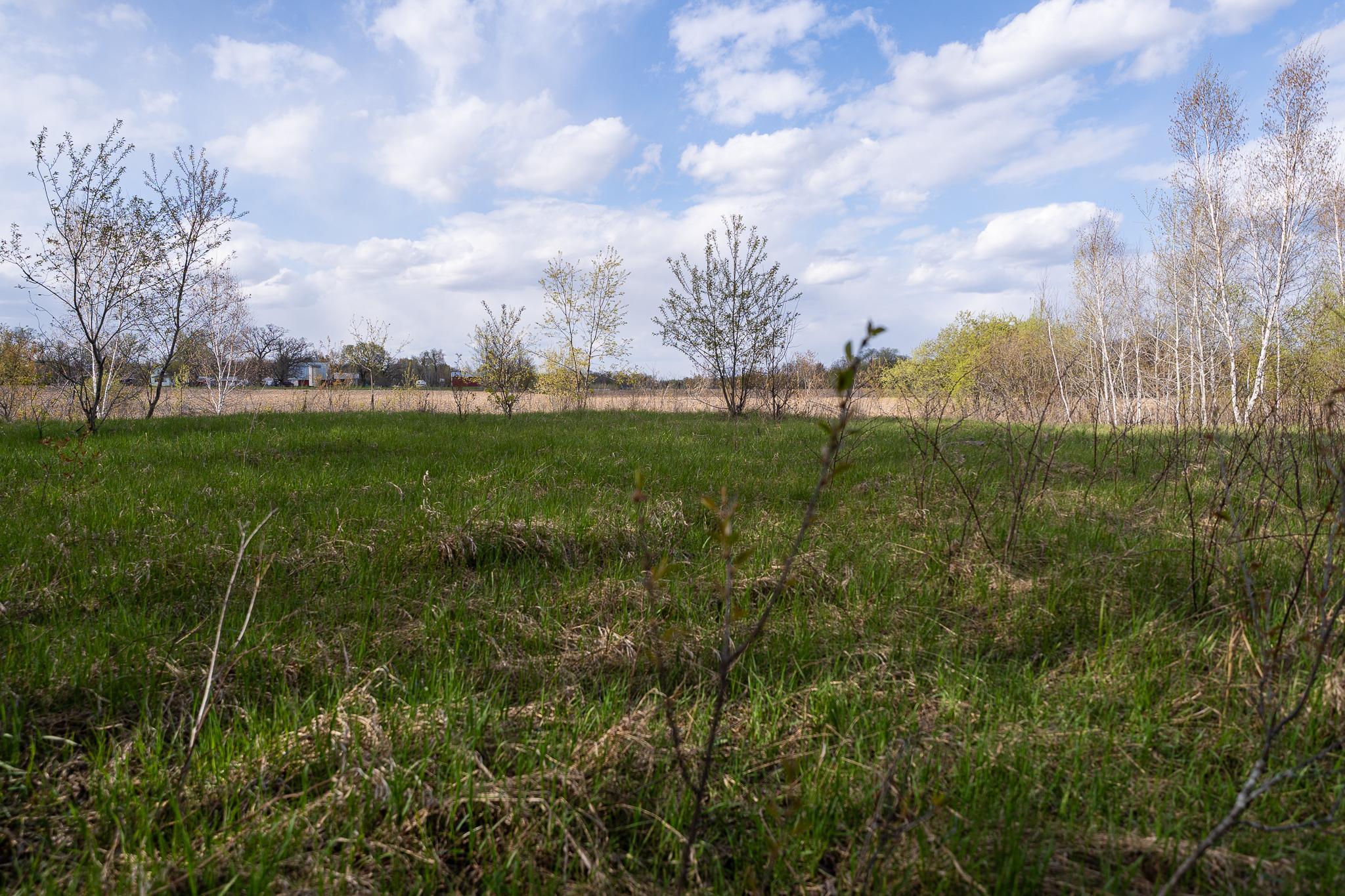 View of Land at TBD-58AC 465th Street, Harris MN 55032, Harris (61 of 63) - Mike Wilen | Minnesota Team Real Estate