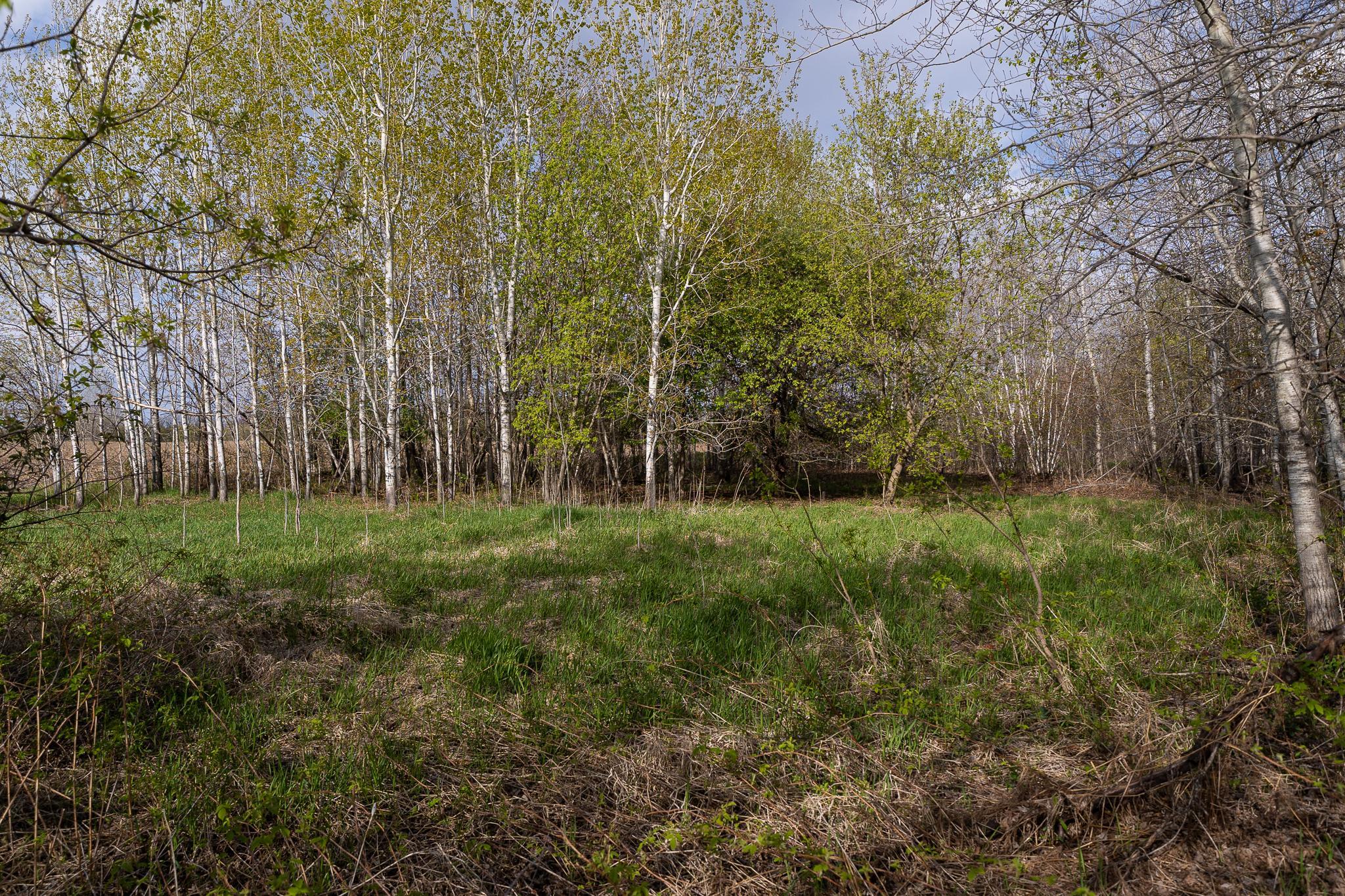 View of Land at TBD-58AC 465th Street, Harris MN 55032, Harris (6 of 63) - Mike Wilen | Minnesota Team Real Estate