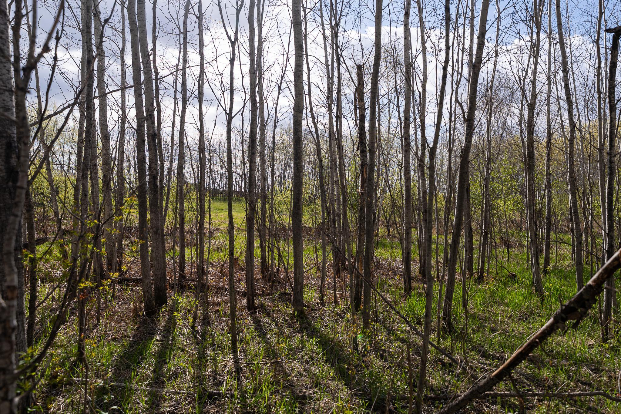 View of Land at TBD-58AC 465th Street, Harris MN 55032, Harris (37 of 63) - Mike Wilen | Minnesota Team Real Estate