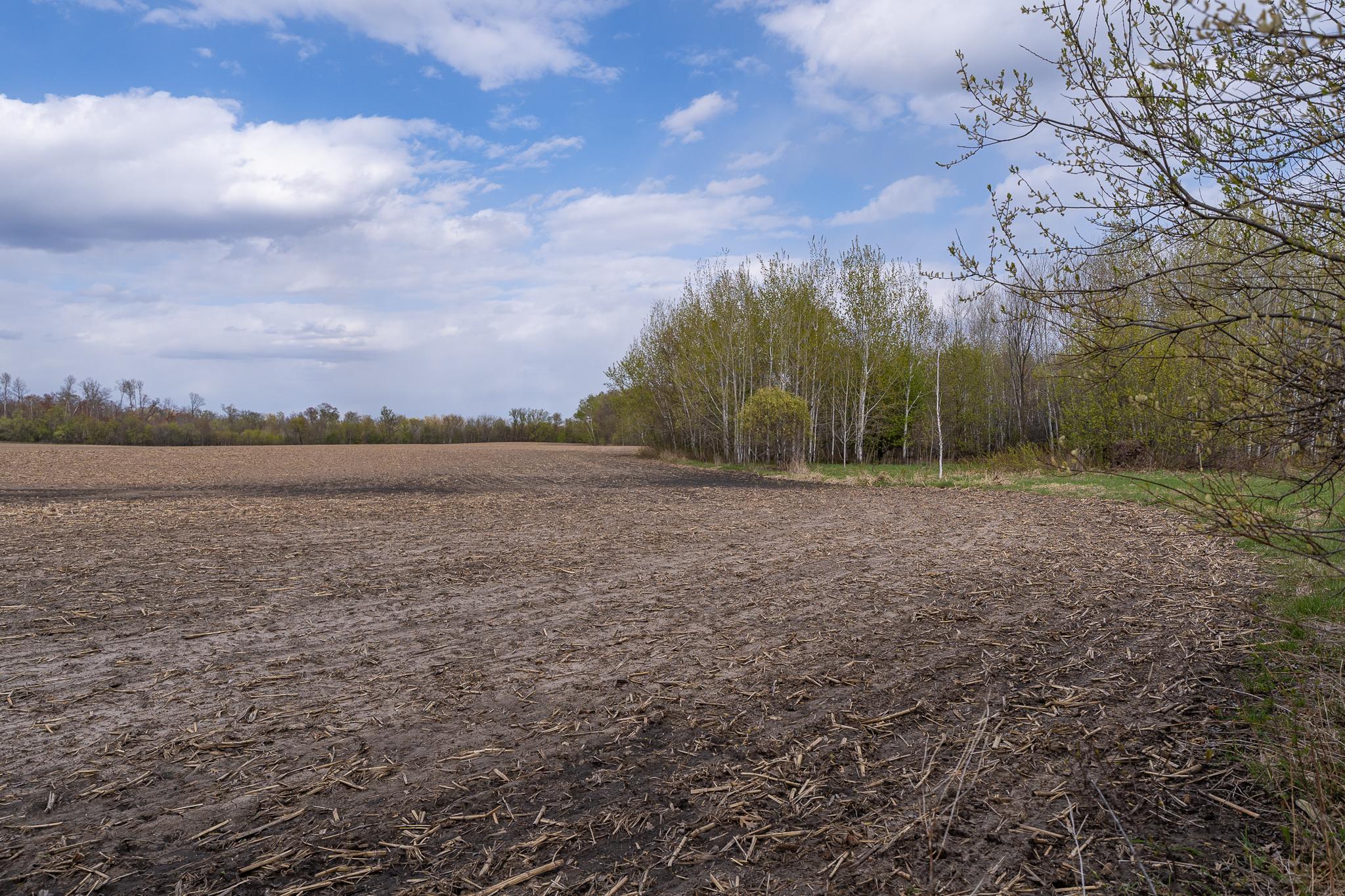 View of Land at TBD-58AC 465th Street, Harris MN 55032, Harris (50 of 63) - Mike Wilen | Minnesota Team Real Estate