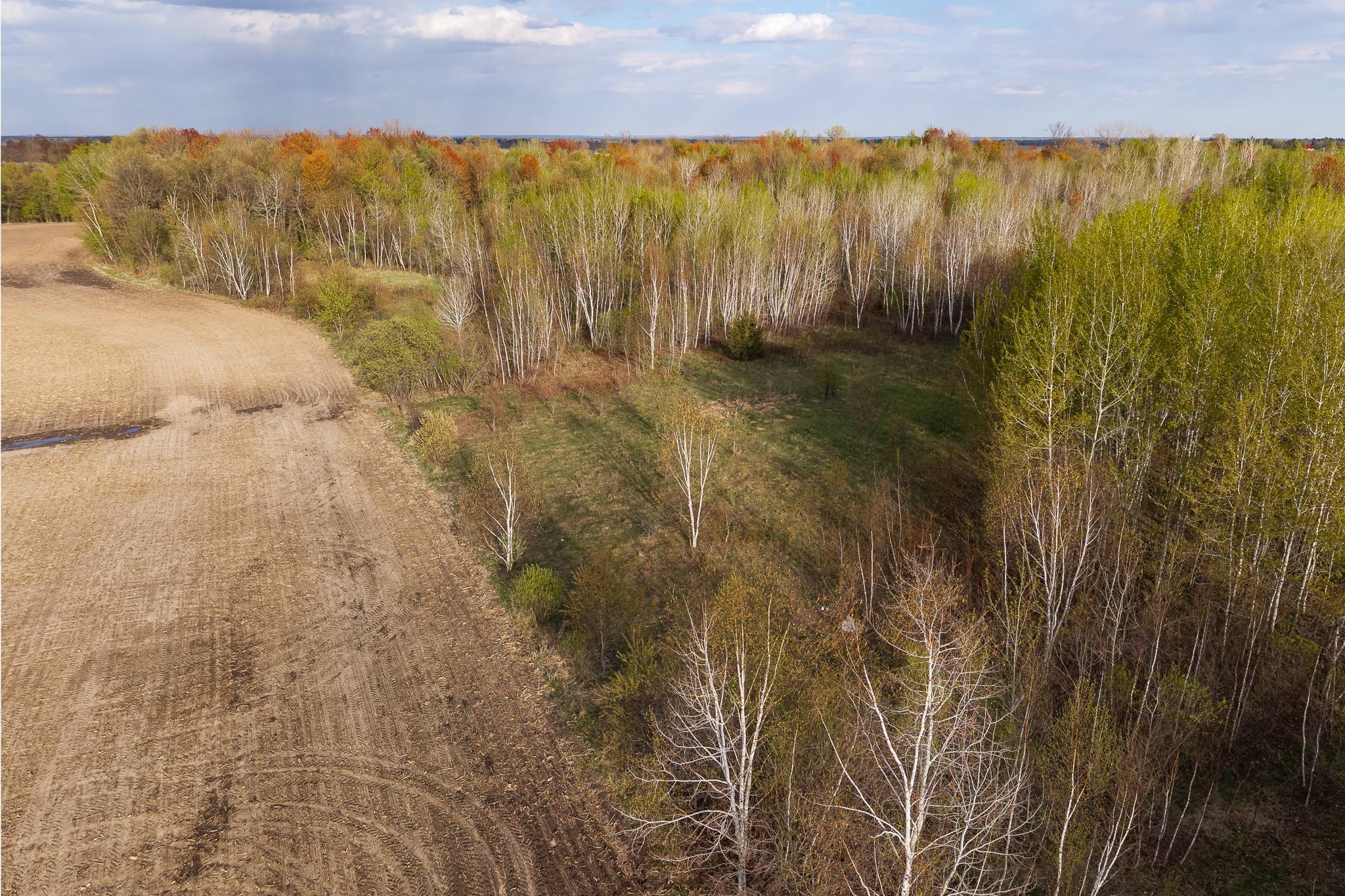 View of Land at TBD-58AC 465th Street, Harris MN 55032, Harris (59 of 63) - Mike Wilen | Minnesota Team Real Estate