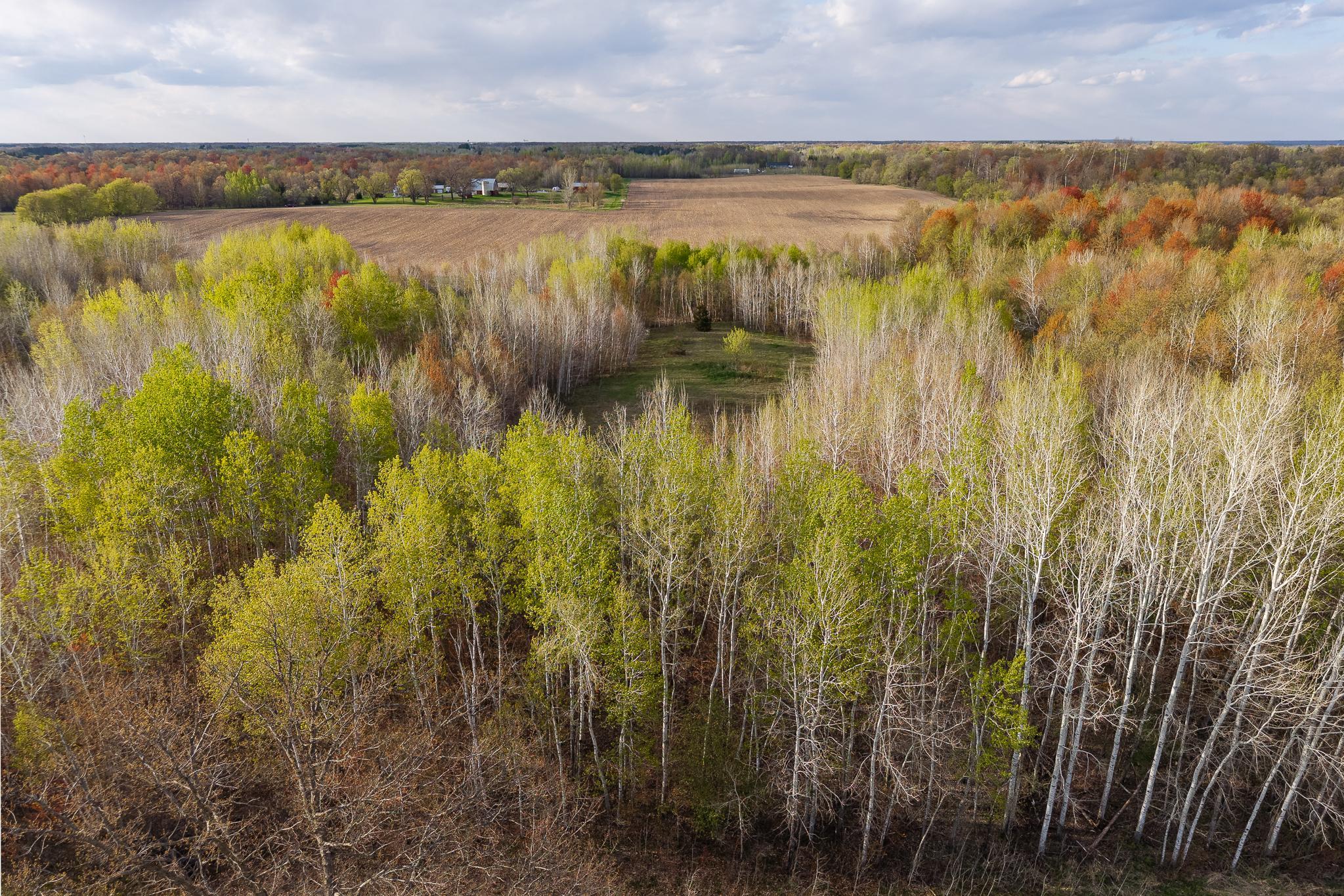 View of Land at TBD-58AC 465th Street, Harris MN 55032, Harris (51 of 63) - Mike Wilen | Minnesota Team Real Estate