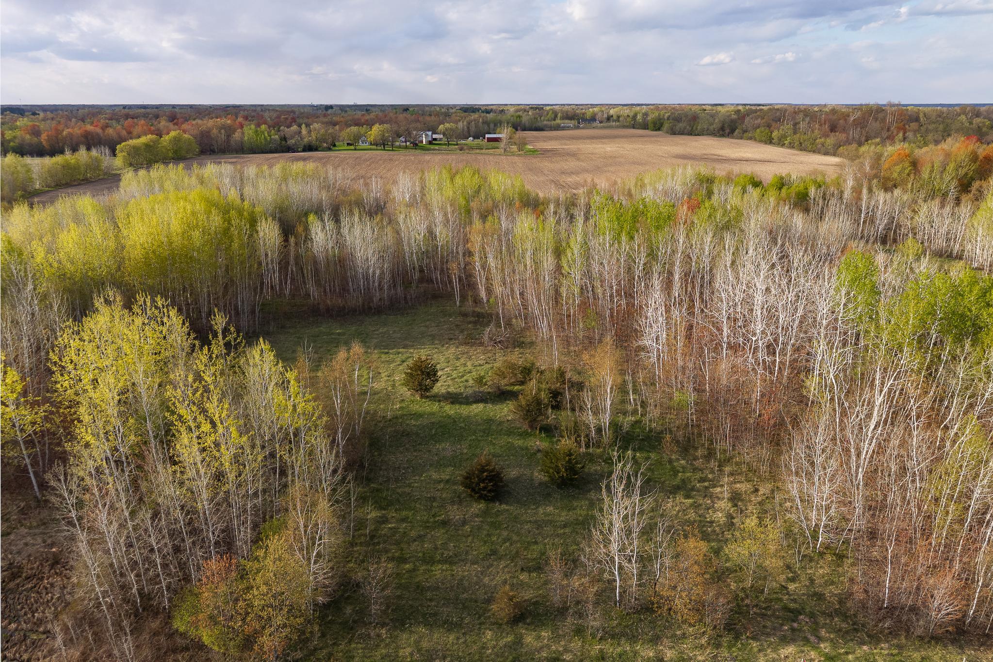 View of Land at TBD-58AC 465th Street, Harris MN 55032, Harris (3 of 63) - Mike Wilen | Minnesota Team Real Estate