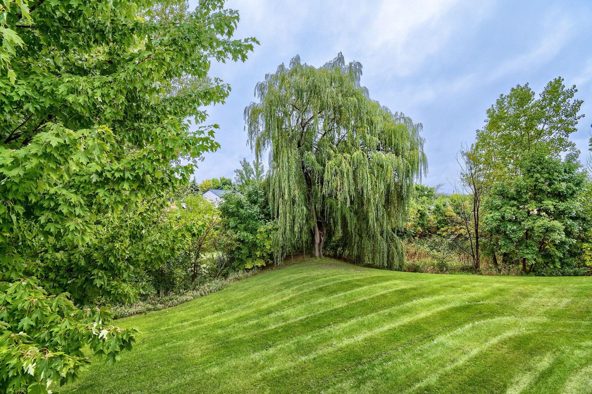 View of Residential at 6333 Palomino Place, Forest Lake MN 55025, Forest Lake (27 of 32) - Mike Wilen | Minnesota Team Real Estate