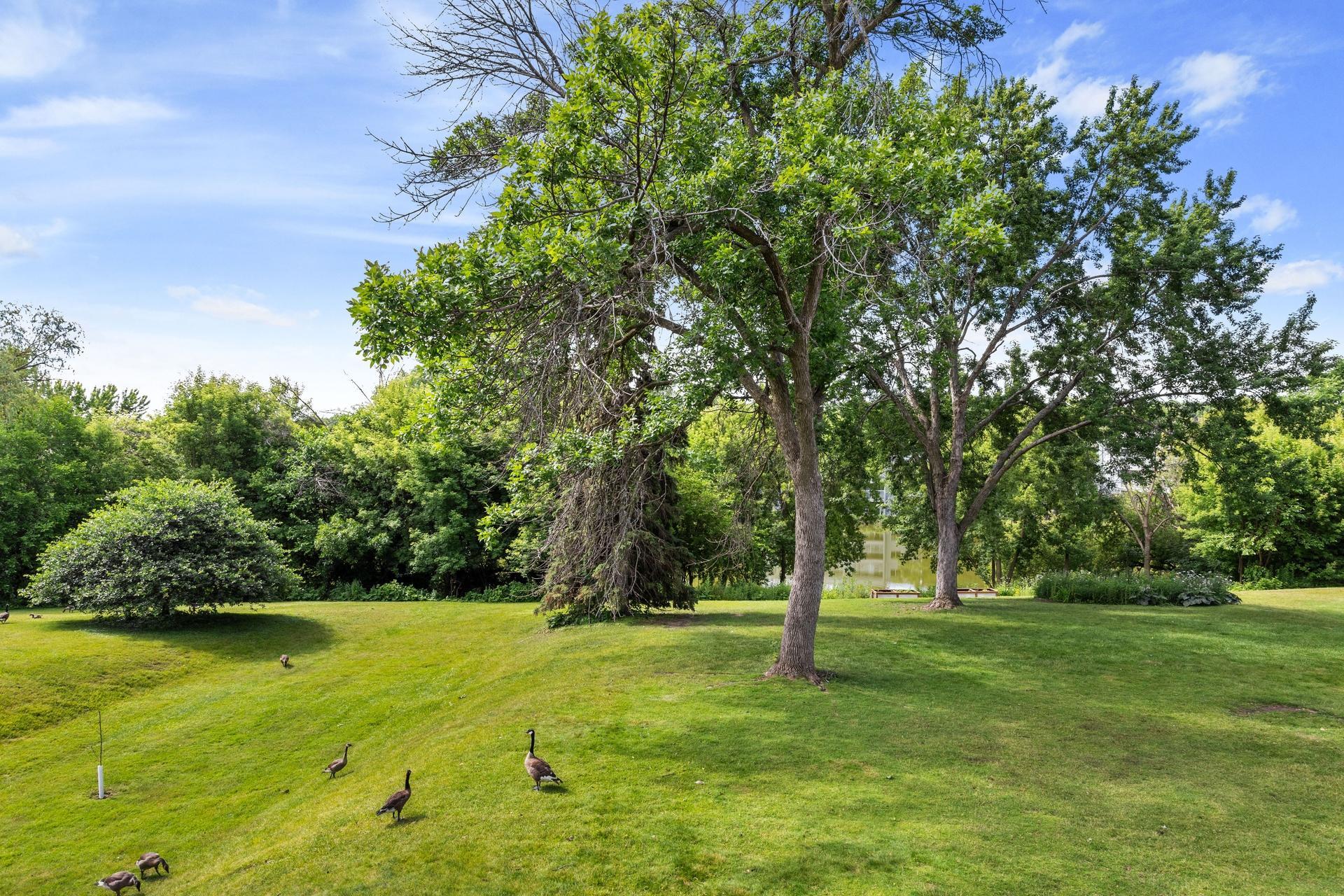 View of Residential at 142 Canabury Court, Little Canada MN 55117, Little Canada (10 of 27) - Mike Wilen | Minnesota Team Real Estate