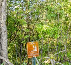 View of Land at Lot 4 146th Terrace, Savage MN 55378, Savage (2 of 6) - Mike Wilen | Minnesota Team Real Estate