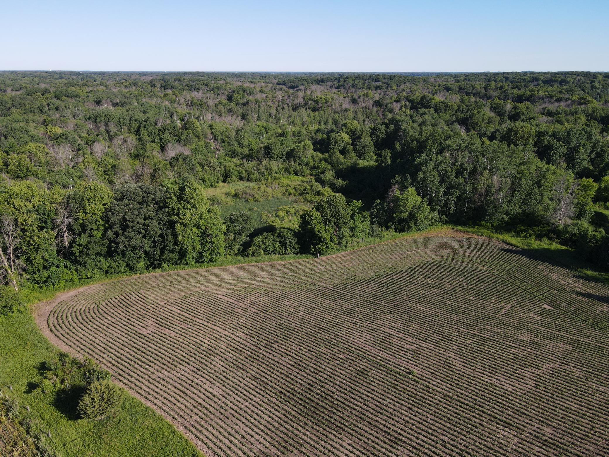 View of Land at 19680 Keystone Avenue, Forest Lake MN 55025, Forest Lake (8 of 20) - Mike Wilen | Minnesota Team Real Estate