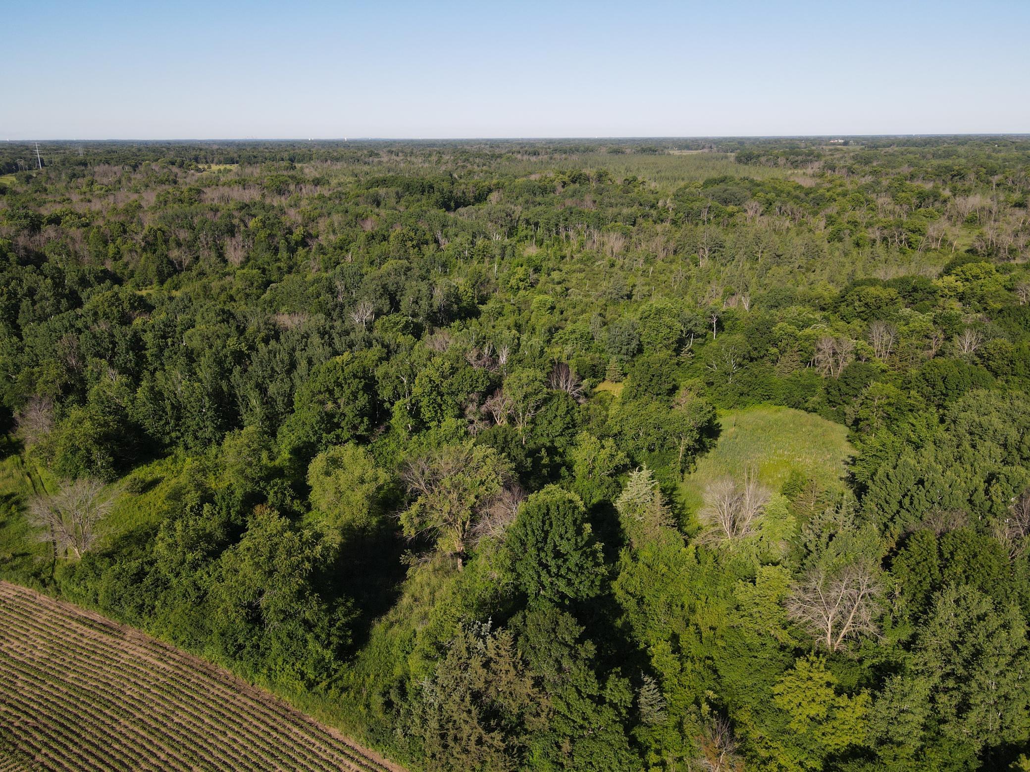 View of Land at 19680 Keystone Avenue, Forest Lake MN 55025, Forest Lake (19 of 20) - Mike Wilen | Minnesota Team Real Estate