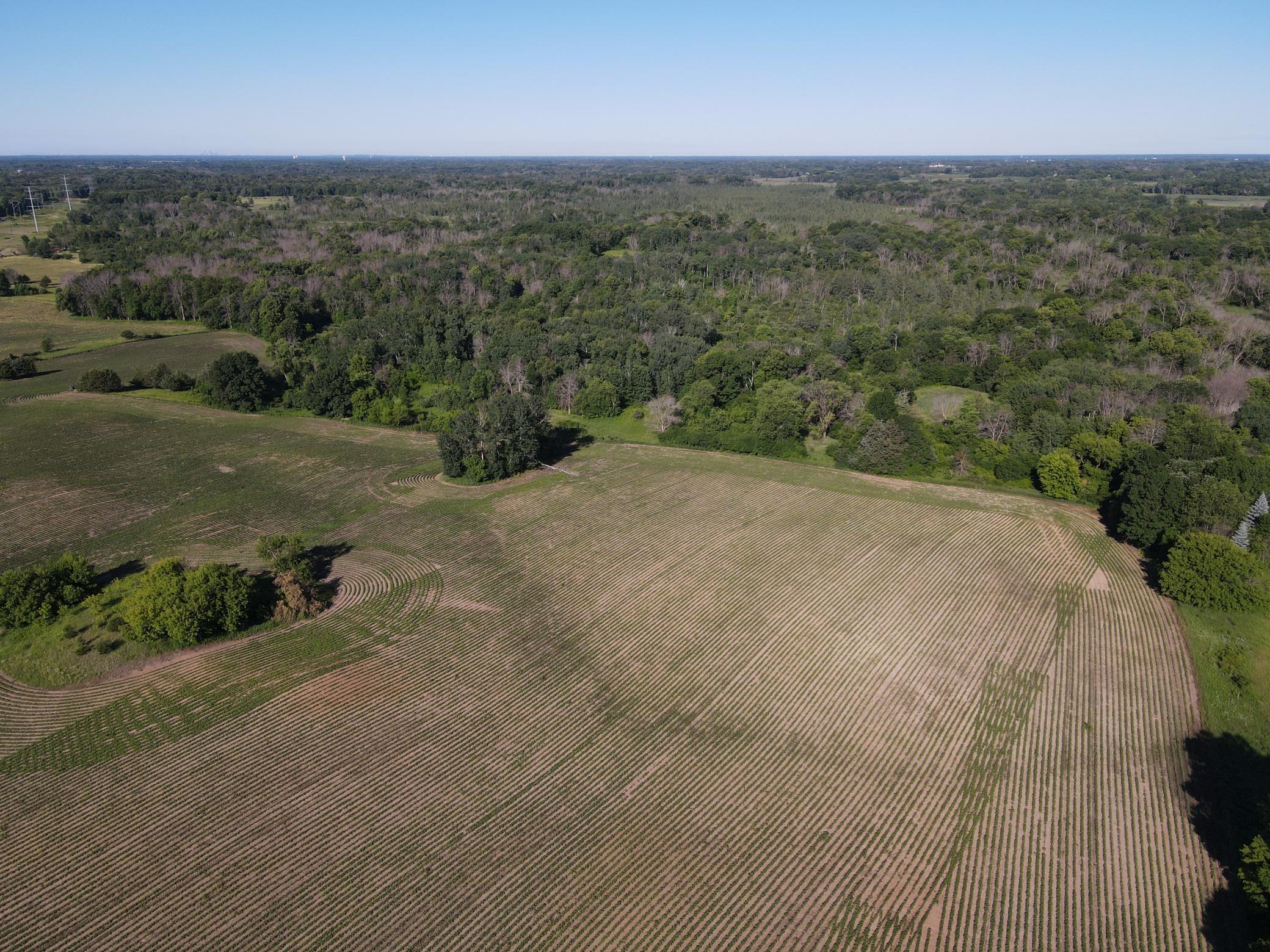 View of Land at 19680 Keystone Avenue, Forest Lake MN 55025, Forest Lake (18 of 20) - Mike Wilen | Minnesota Team Real Estate
