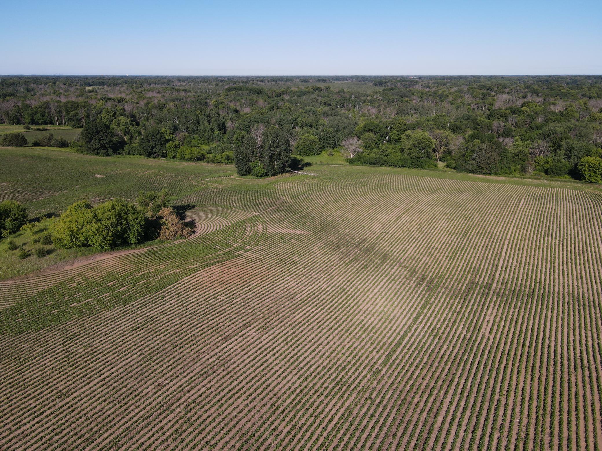 View of Land at 19680 Keystone Avenue, Forest Lake MN 55025, Forest Lake (10 of 20) - Mike Wilen | Minnesota Team Real Estate