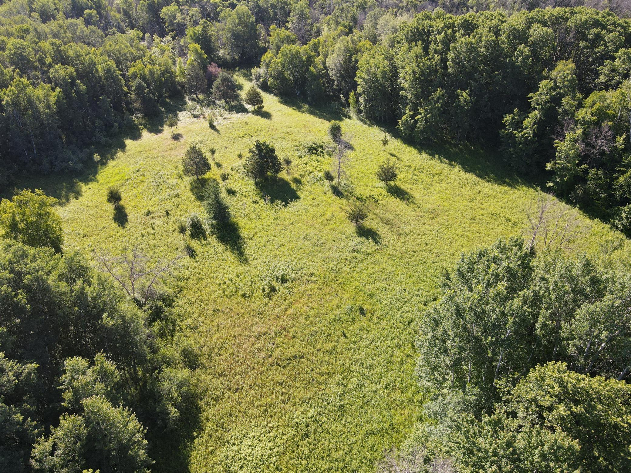 View of Land at 19680 Keystone Avenue, Forest Lake MN 55025, Forest Lake (17 of 20) - Mike Wilen | Minnesota Team Real Estate