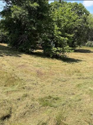 View of Land at 8131 Ogren Avenue, Otsego MN 55330, Otsego (17 of 33) - Mike Wilen | Minnesota Team Real Estate