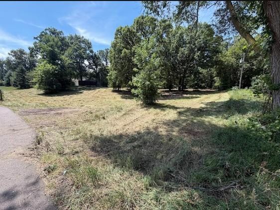 View of Land at 8131 Ogren Avenue, Otsego MN 55330, Otsego (16 of 33) - Mike Wilen | Minnesota Team Real Estate