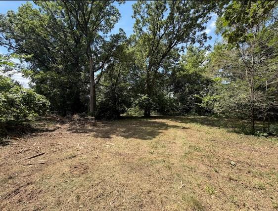 View of Land at 8131 Ogren Avenue, Otsego MN 55330, Otsego (13 of 33) - Mike Wilen | Minnesota Team Real Estate
