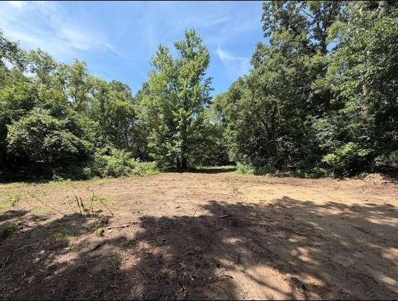 View of Land at 8131 Ogren Avenue, Otsego MN 55330, Otsego (8 of 33) - Mike Wilen | Minnesota Team Real Estate