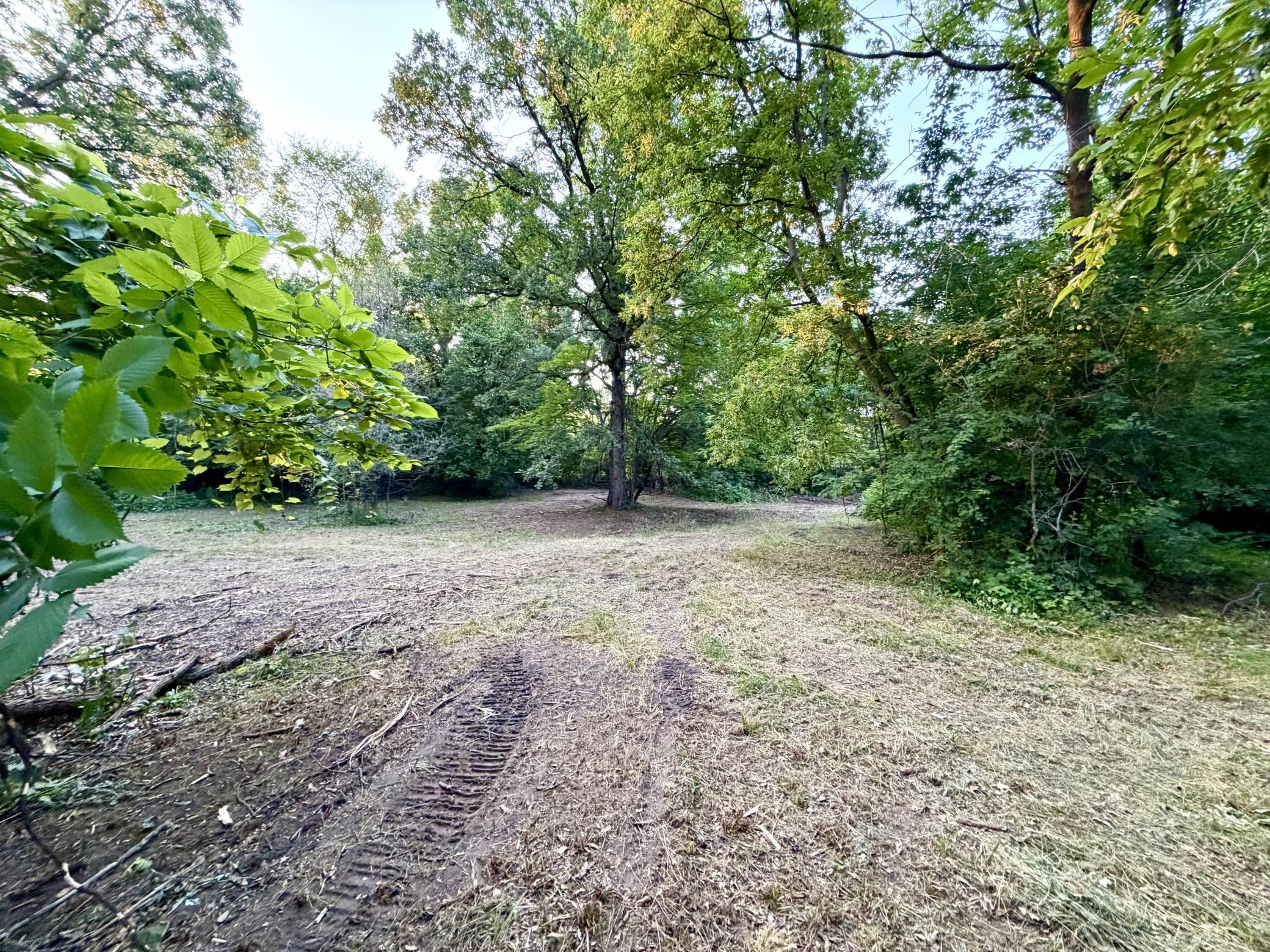 View of Land at 8131 Ogren Avenue, Otsego MN 55330, Otsego (26 of 33) - Mike Wilen | Minnesota Team Real Estate