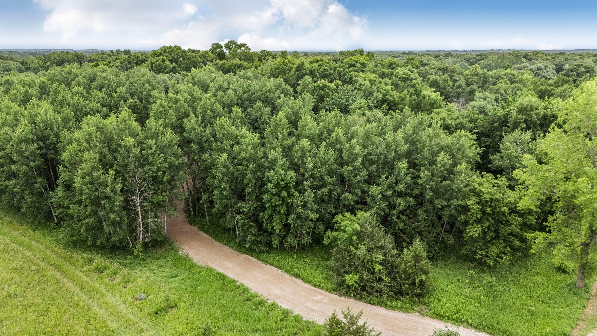 View of Land at 0000 Fourth Avenue, South Haven MN 55382, South Haven (17 of 17) - Mike Wilen | Minnesota Team Real Estate