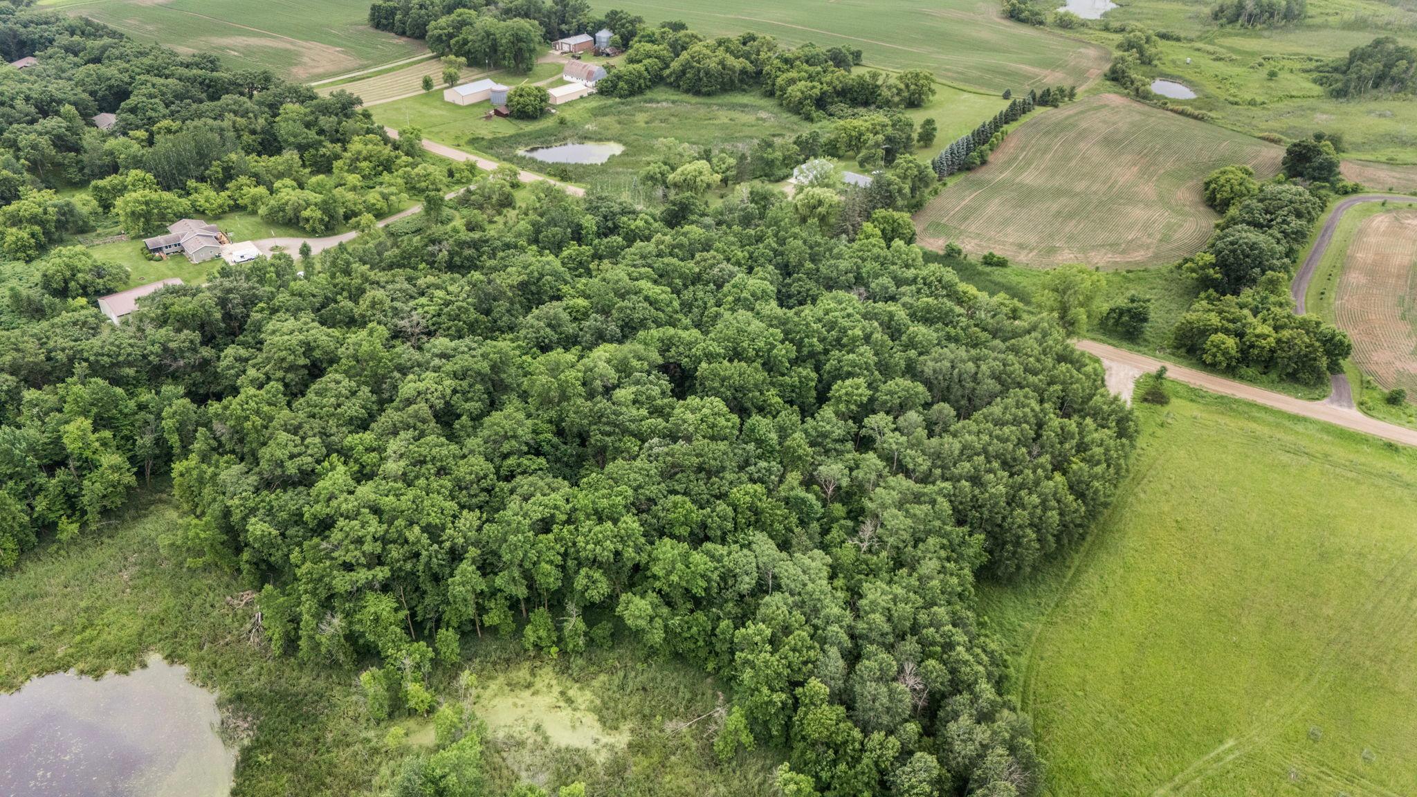 View of Land at 0000 Fourth Avenue, South Haven MN 55382, South Haven (14 of 17) - Mike Wilen | Minnesota Team Real Estate